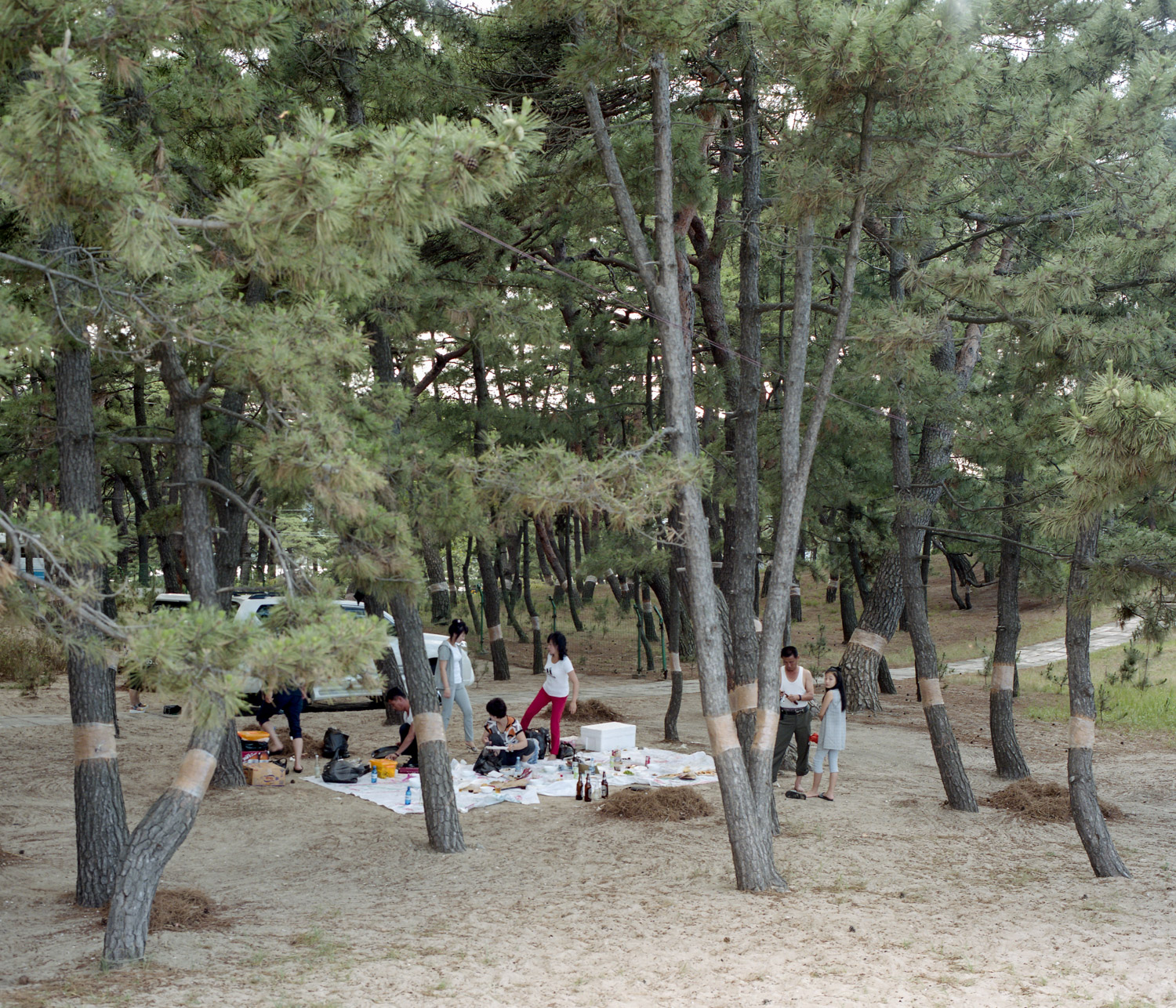  North Koreans picnicking near the beach in Wonsan. 