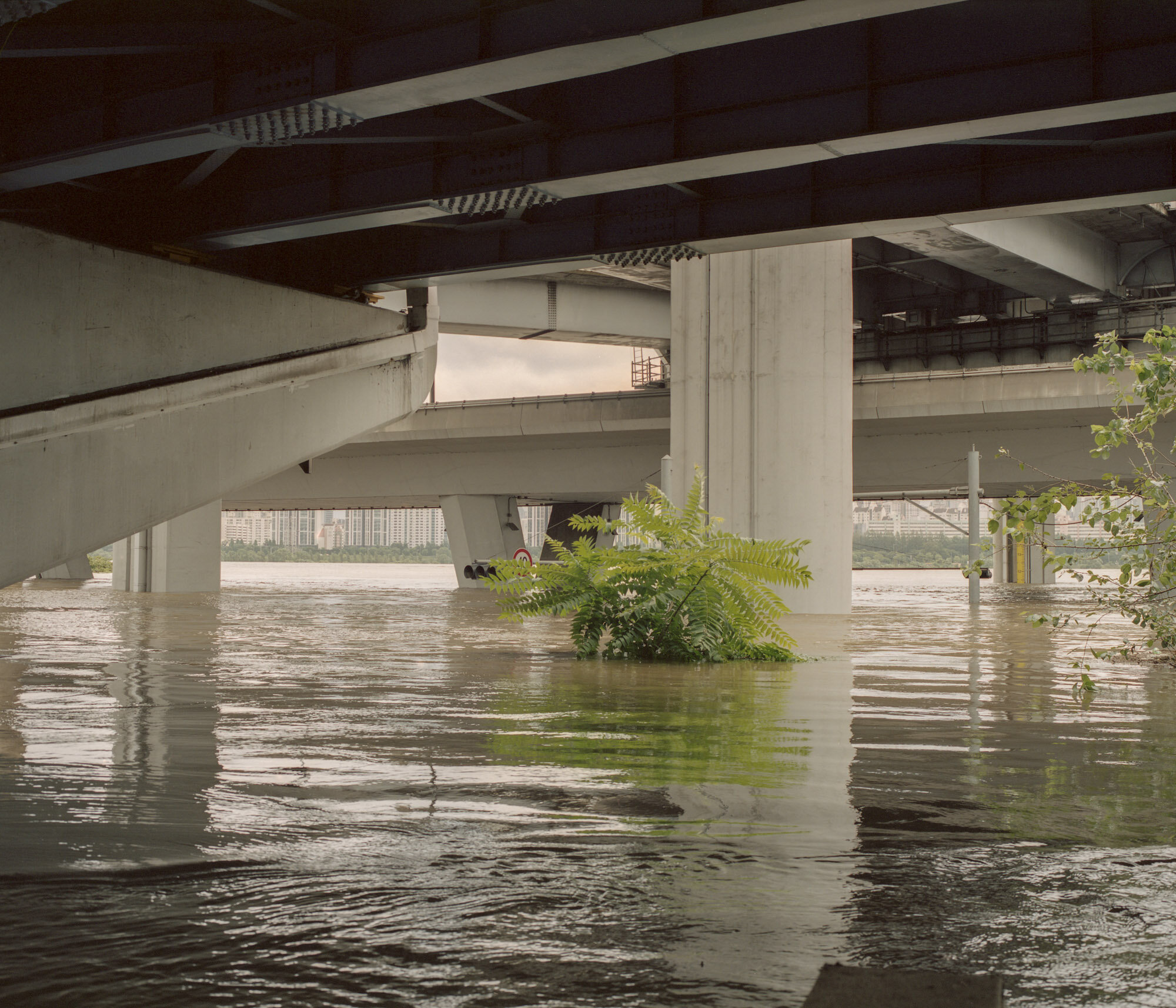 rain-2020093.jpg