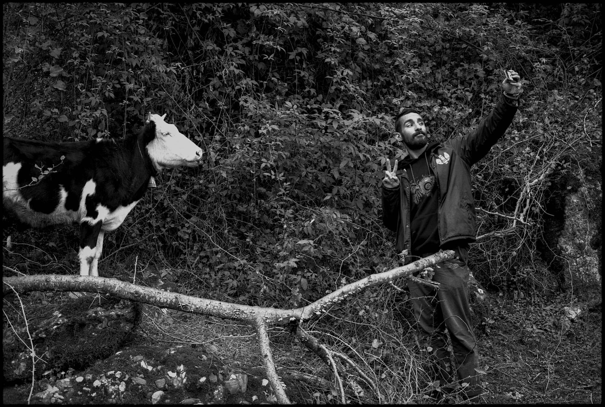  In the forest near Ramsar, Erfan takes a selfie with a cow. Ramsar, Iran, October 18, 2015. 