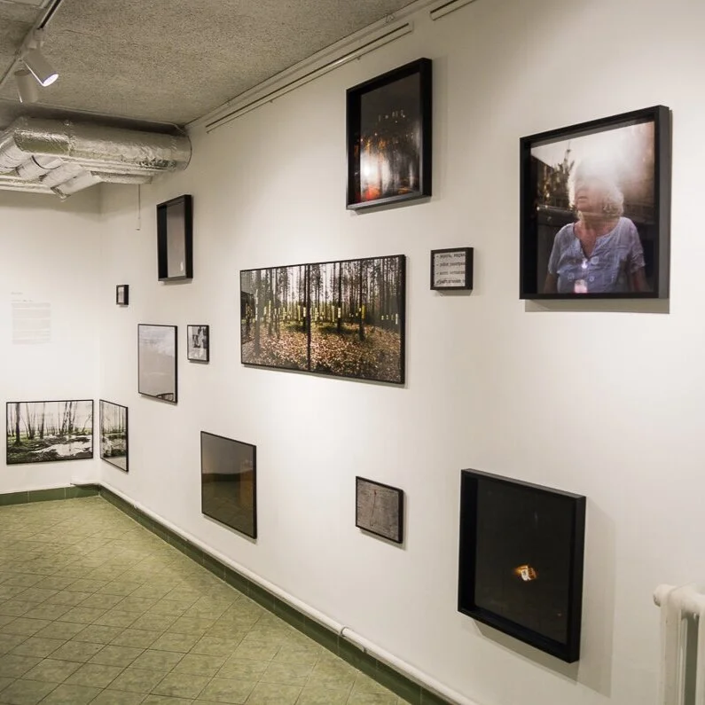 I can almost hear birds Gallery KX Exhibition shut down by Police | Maxim Sarychau