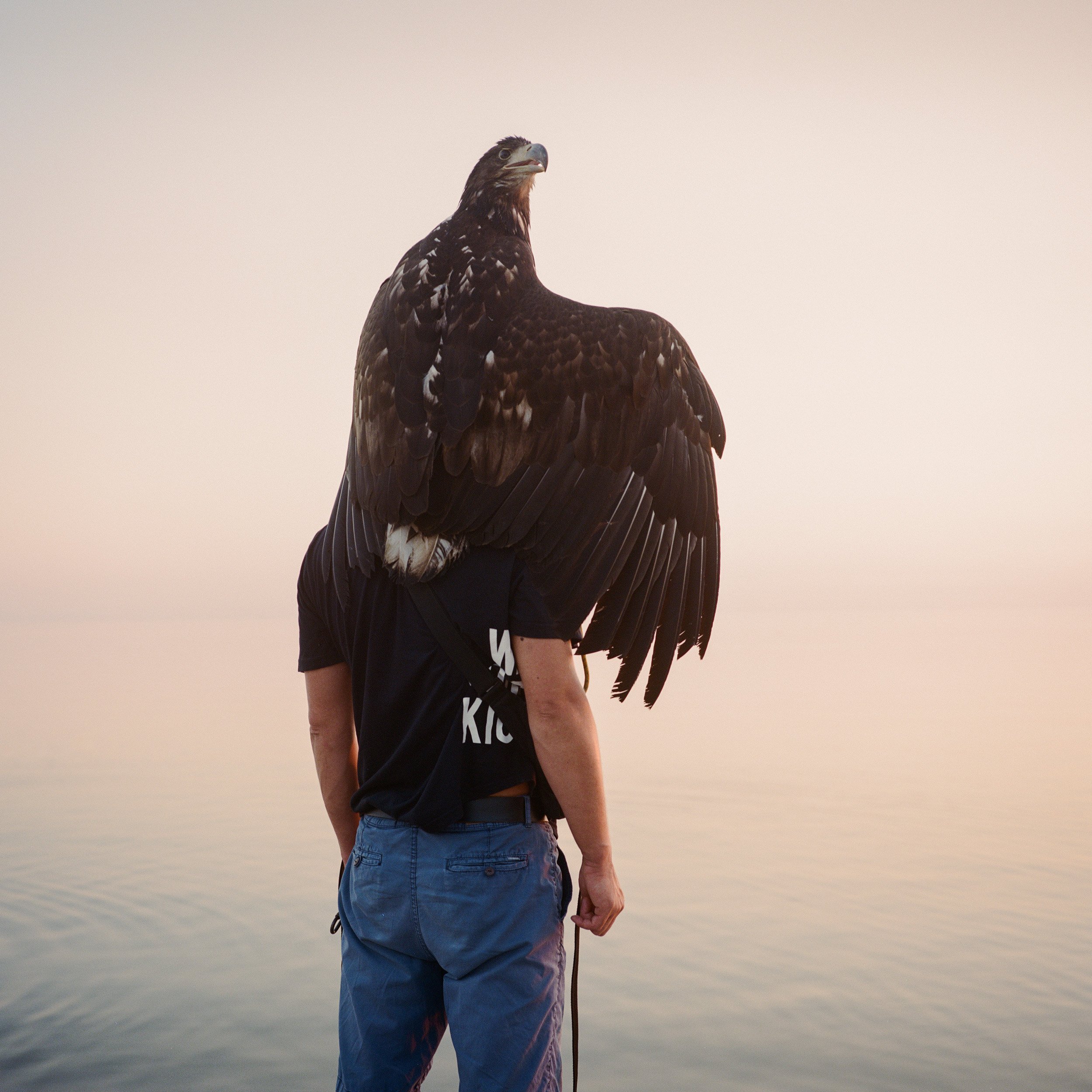  Berdiansk, Ukraine. August 2021. Anatoli from Kharkov with his bird on the Berdiansk sea front. 