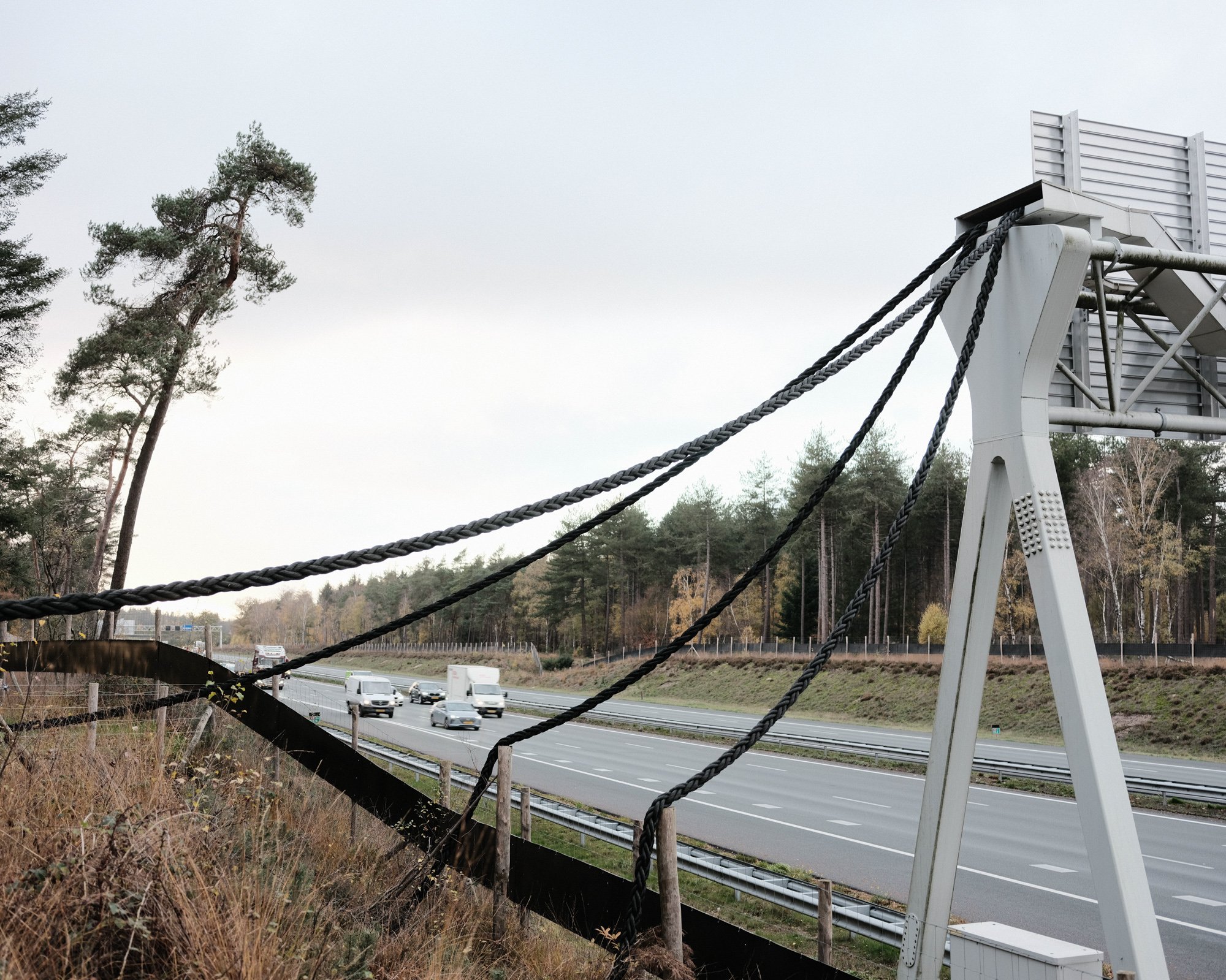  Squirrel bridge over the highway. A12, Netherlands.  