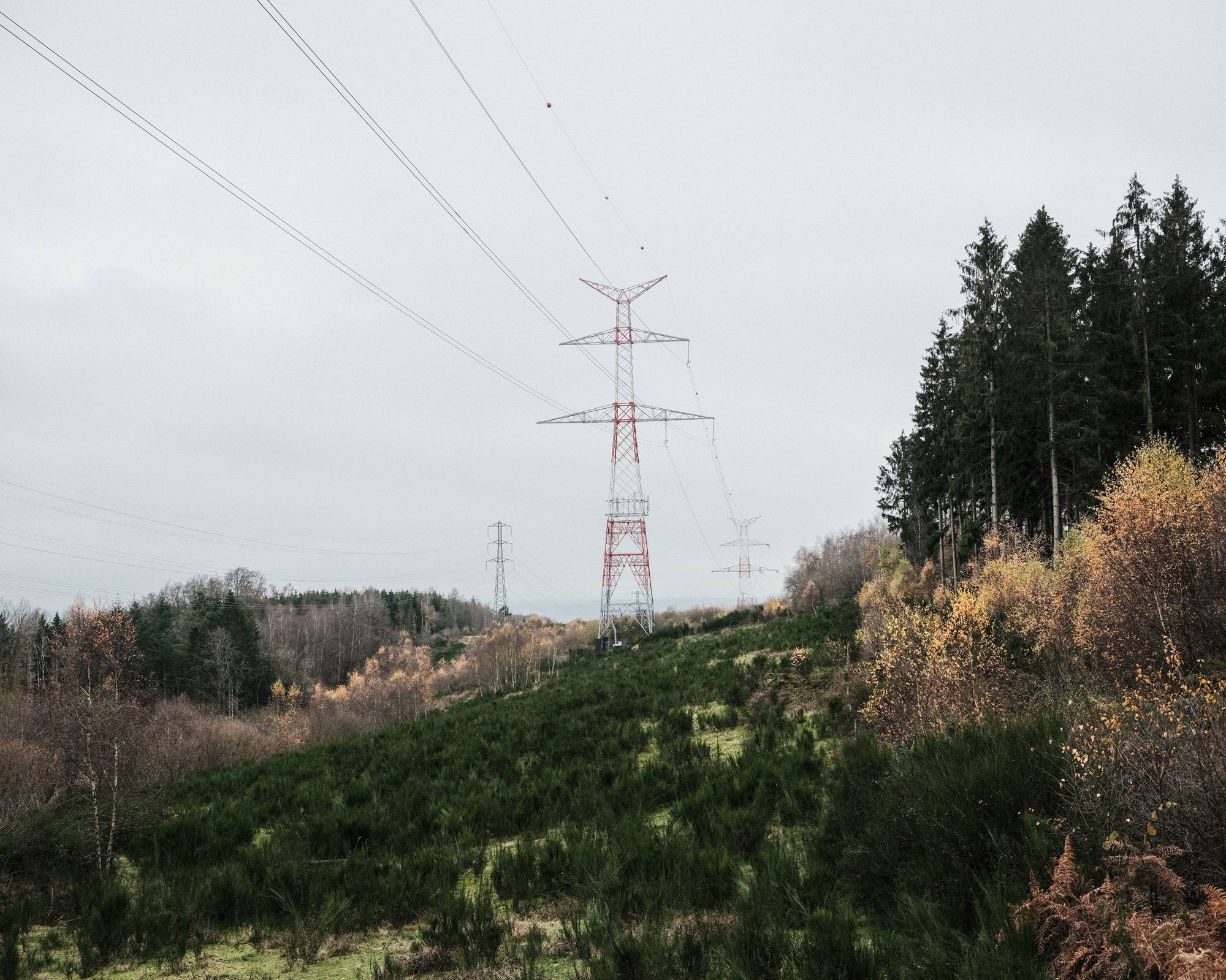  Power lines are deployed to create ecocorridors. Arlon, Belgium. 