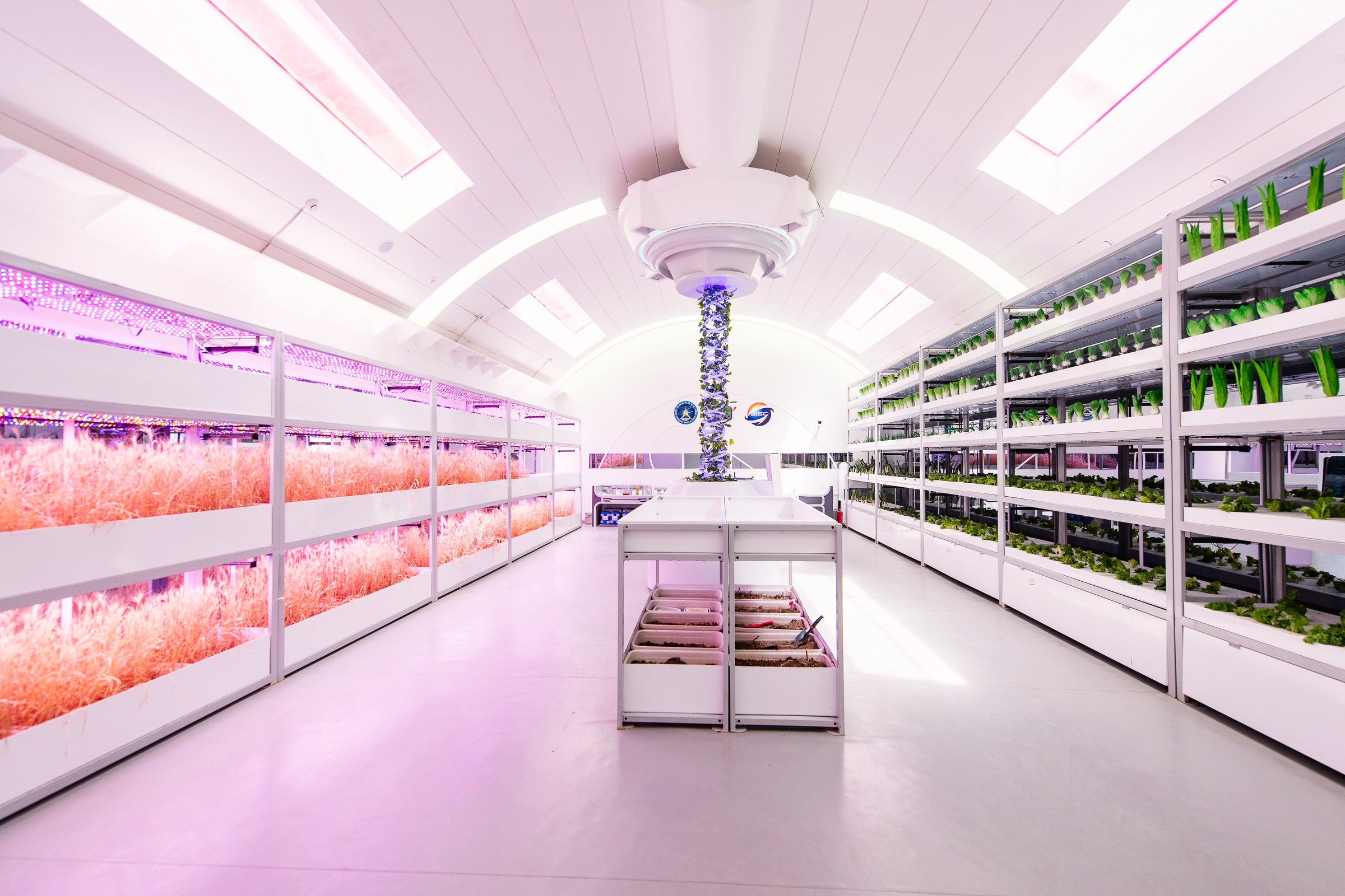  The food growing facility is the Mars simulation base. C-Space is located in the Gobi Desert, some 40 km from Jinchang in China's northwest Gansu province. Finding the way to grow fresh food in space would vastly reduce the rocket payload and open t