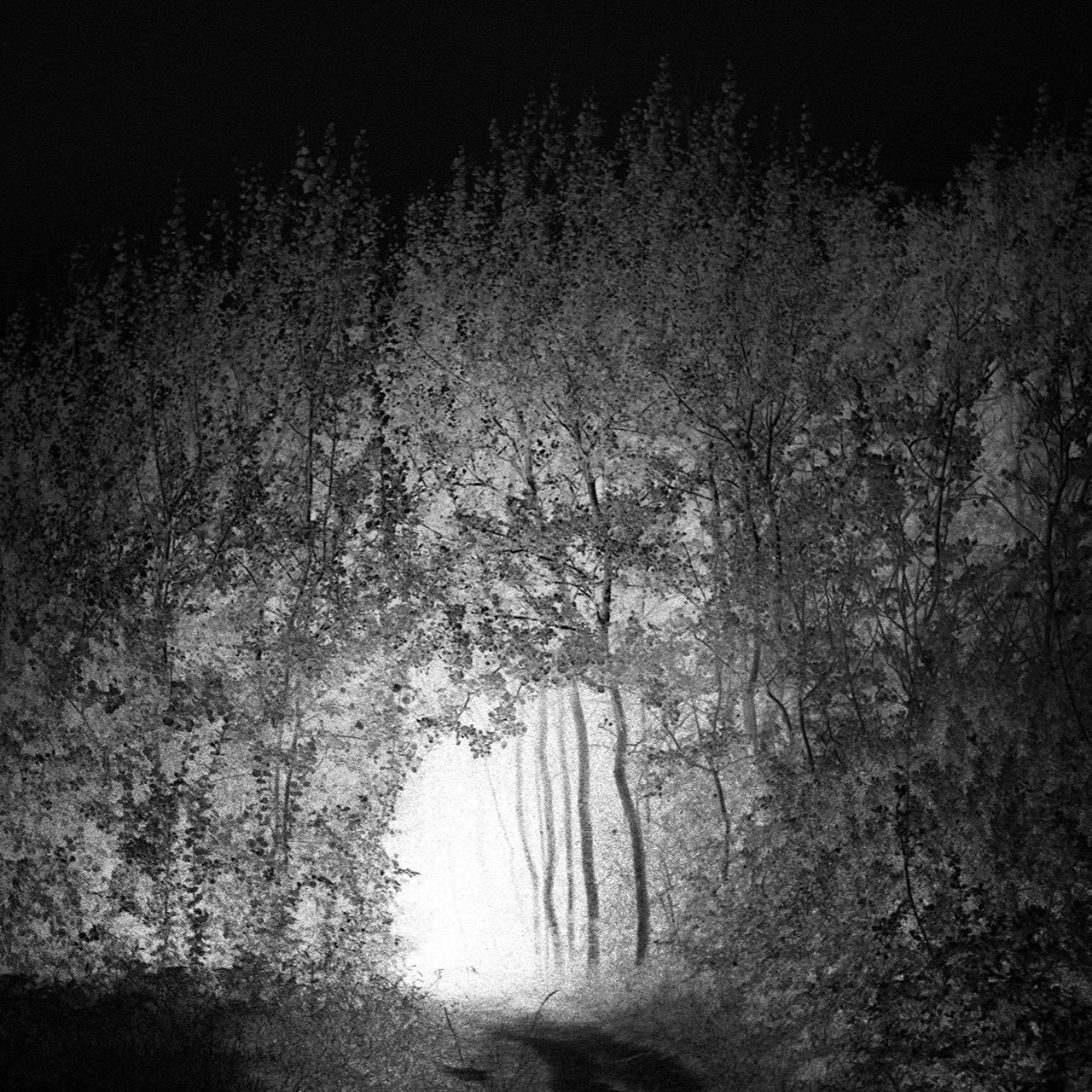 'Proximité(s)', exhibition  in Hendaye, France | Jef Bonifacino