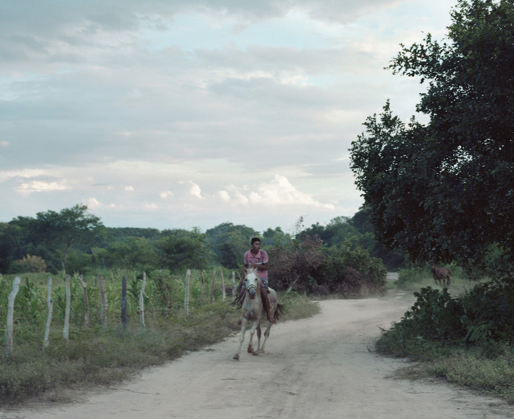  Januaria, Minas Gerais, Brazil 2019. A local boy of the Quilombo of Croatá rides on his horse. The Quilombo’s Community ask several timeto the city hall to take care of the roads but they didn’t carried on the works of maintenance. 