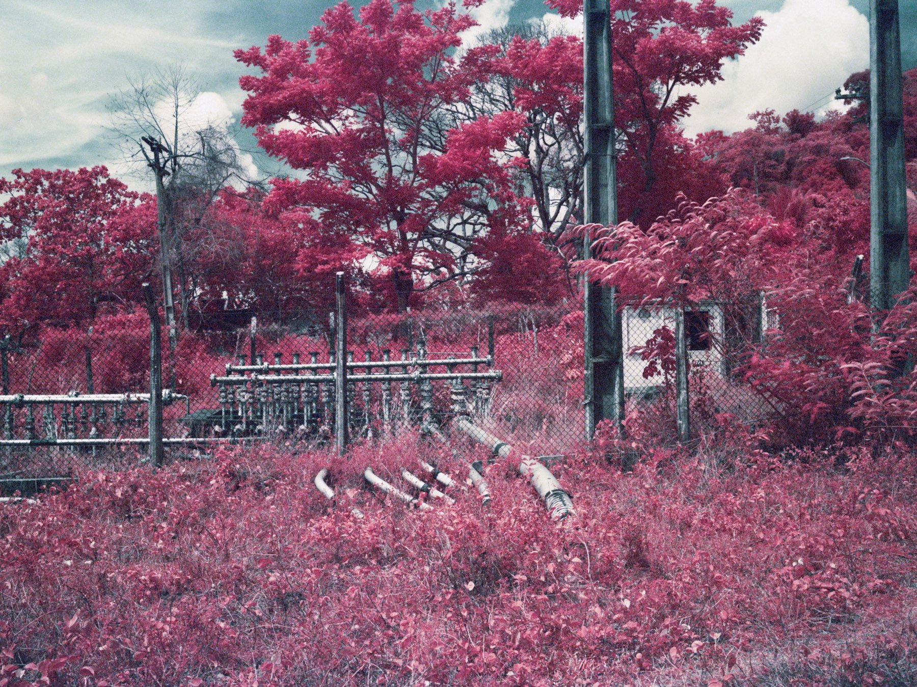  Ilha da Maré, Bahia, 2021. Infrared color image of an oil well located on the Island. 