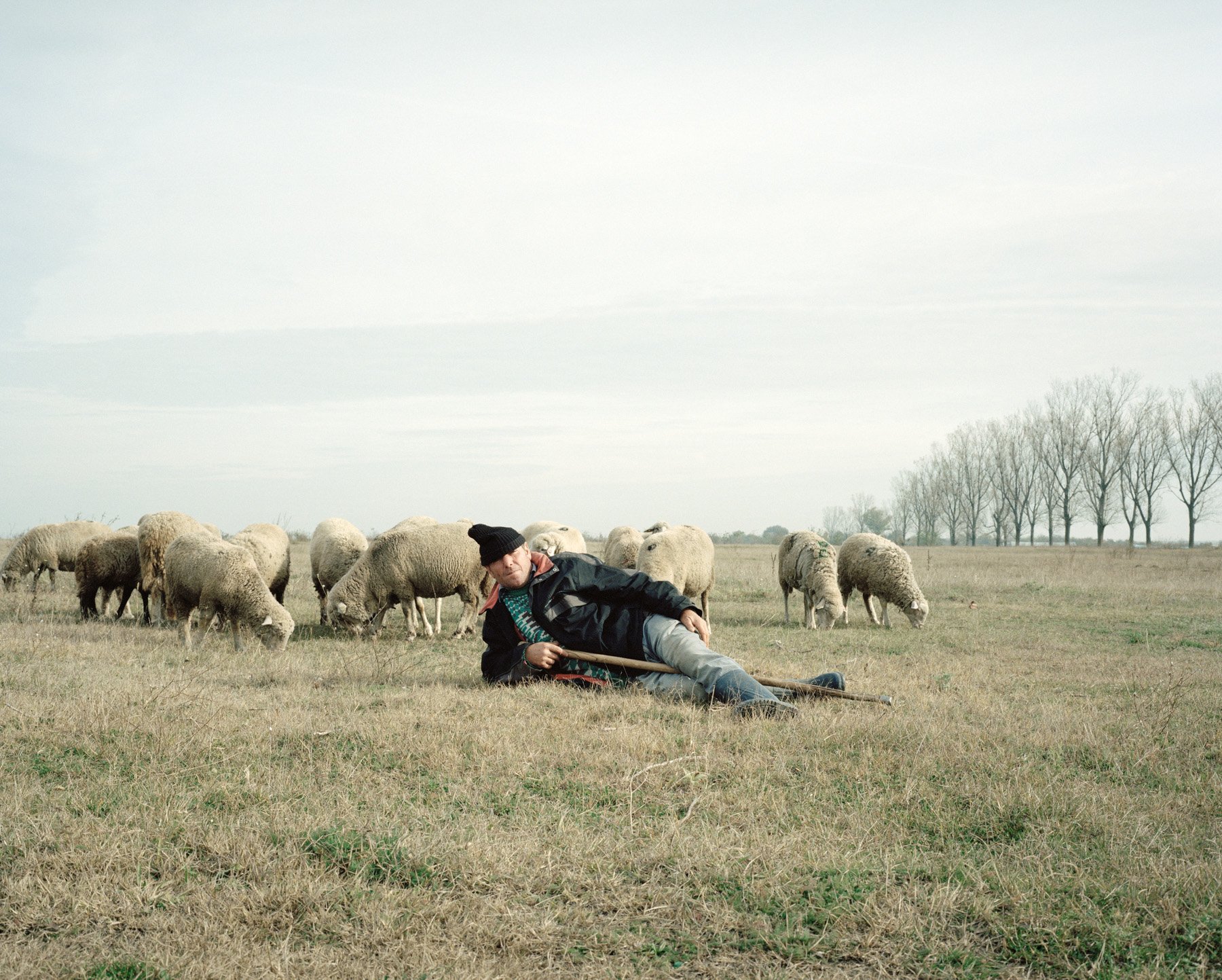  Romania, Calarasi. 2016. A farmer with his sheep. 