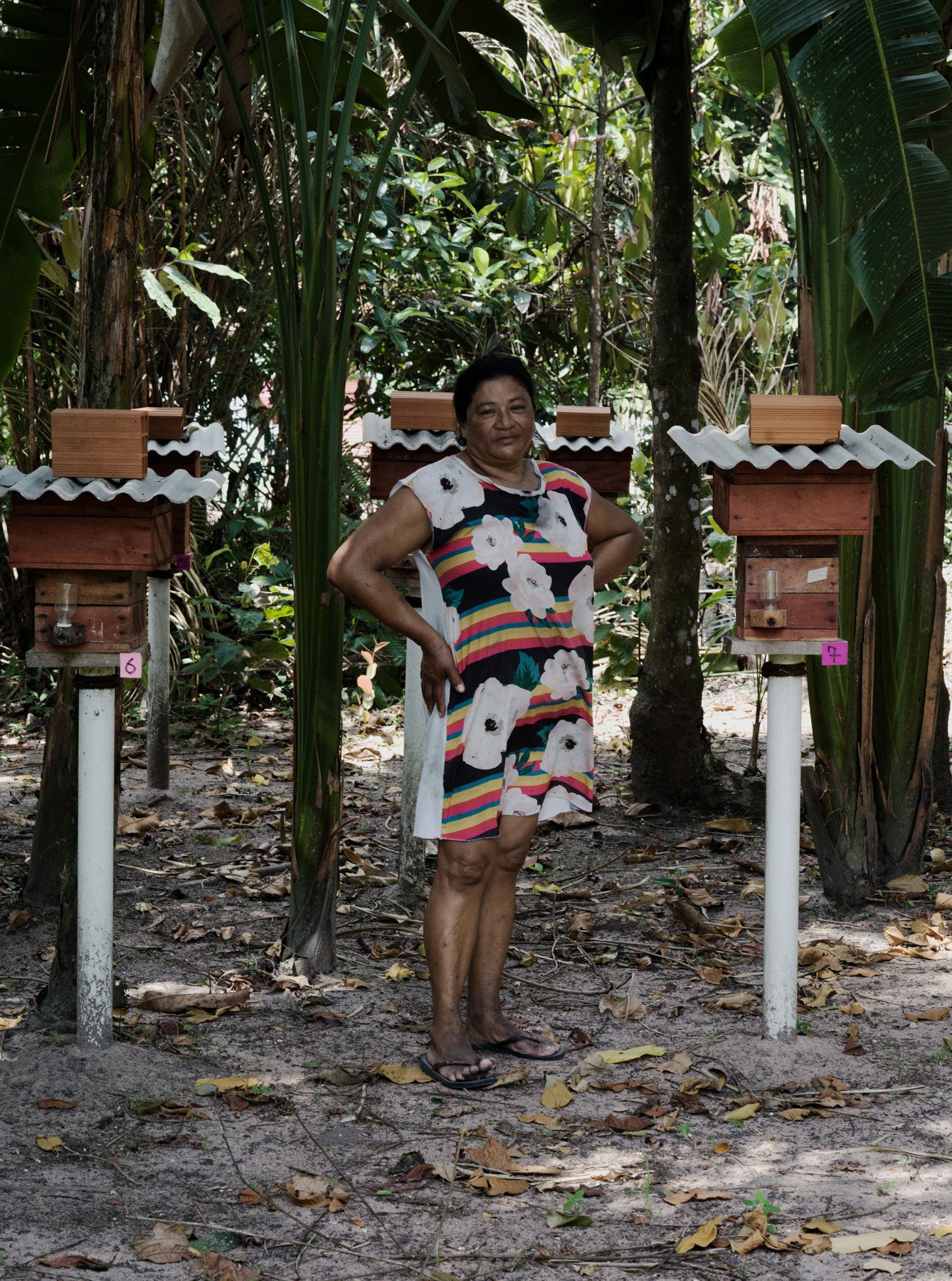  Boa Vista Da Acará, 2023. A portrait of a meliponiculturist of the community of Boa Vista do Acará. The members of the Community are small farmers with lower income, the honey production is a side income respect the main activities. The stingless be