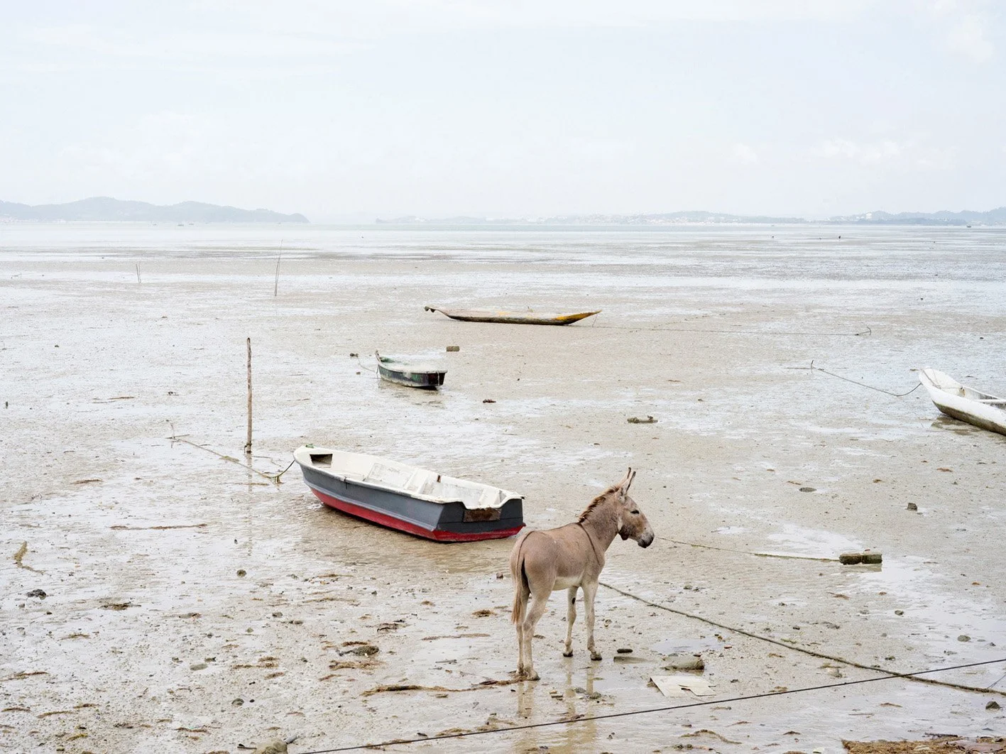 'A Story on Oil, Pollution and Racism' exhibition at FOTO BSB, Brasilia | Tommaso Rada