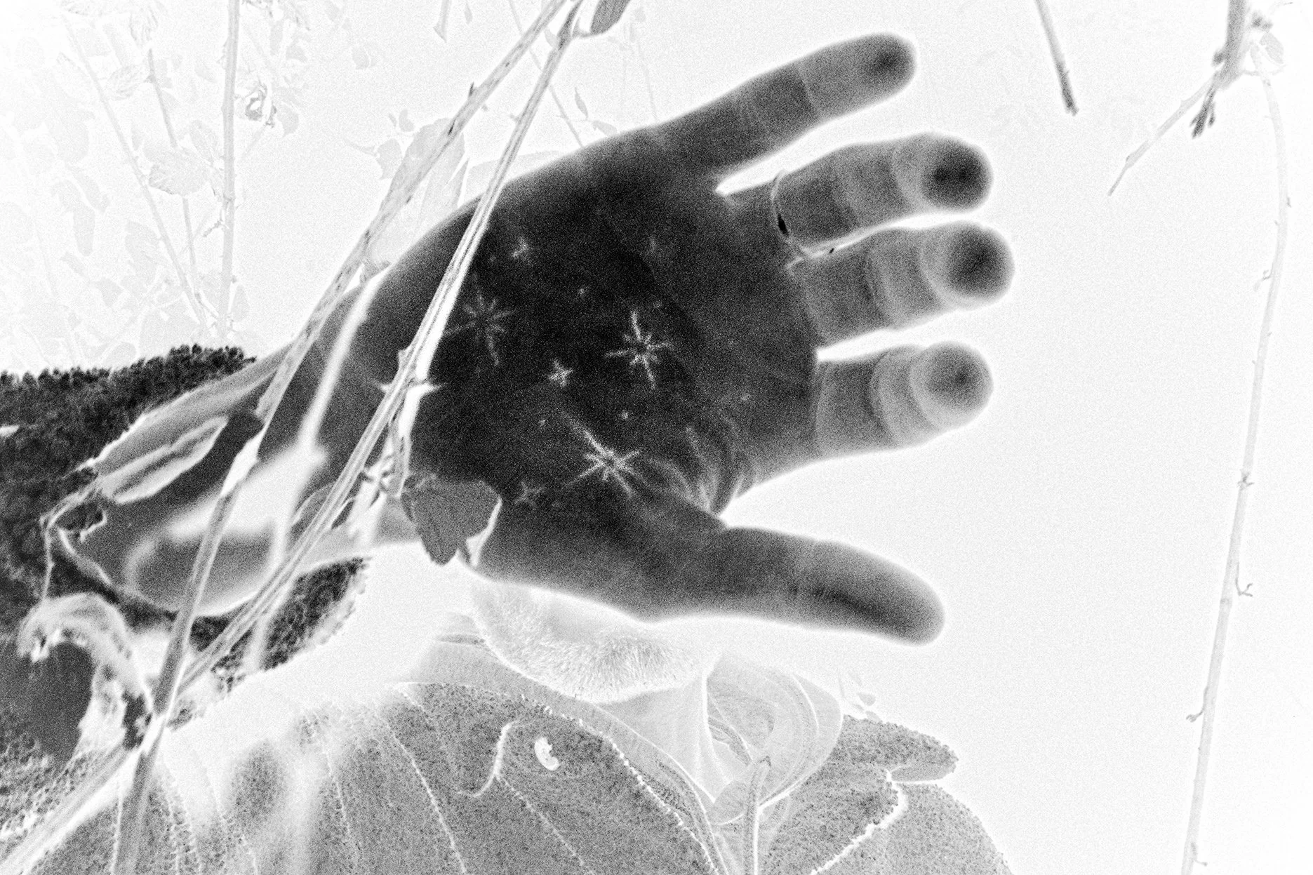 Natural touch (4).jpg