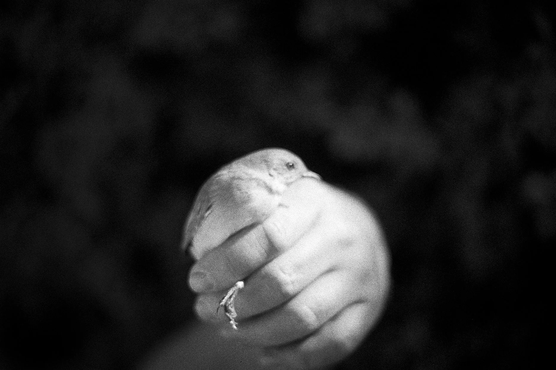 Natural touch (5).jpg