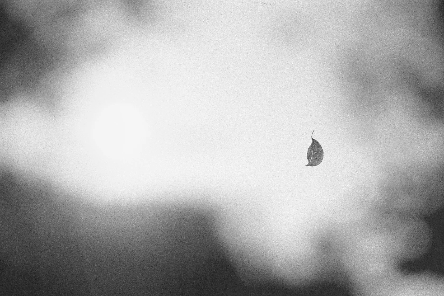 Natural touch (6).jpg