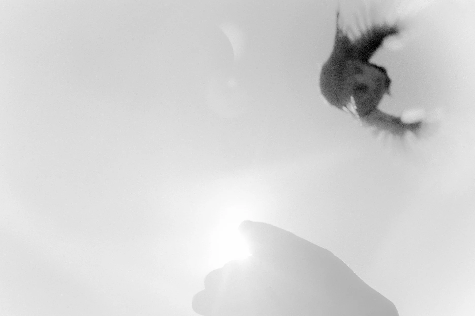 Natural touch (9).jpg