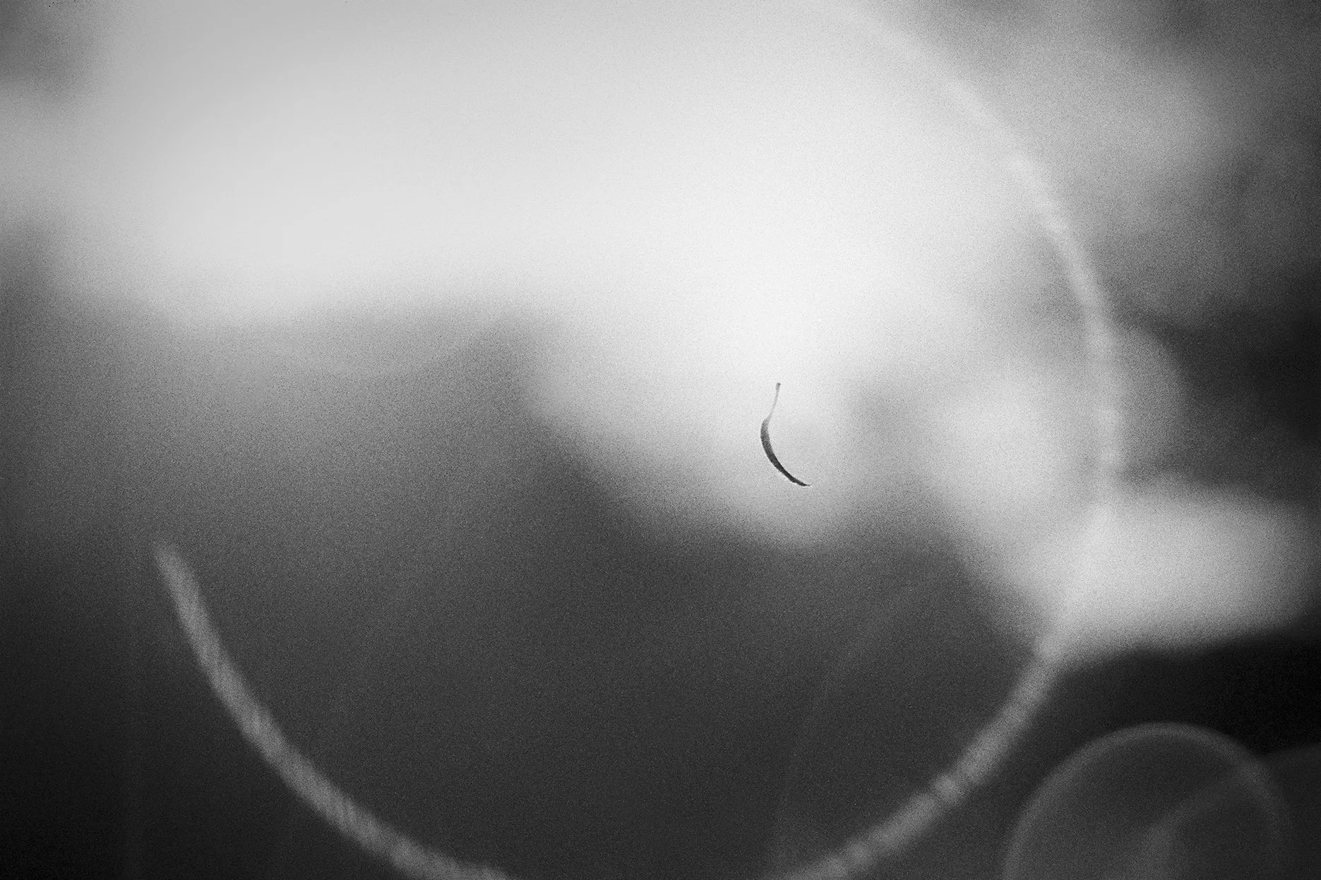 Natural touch (13).jpg