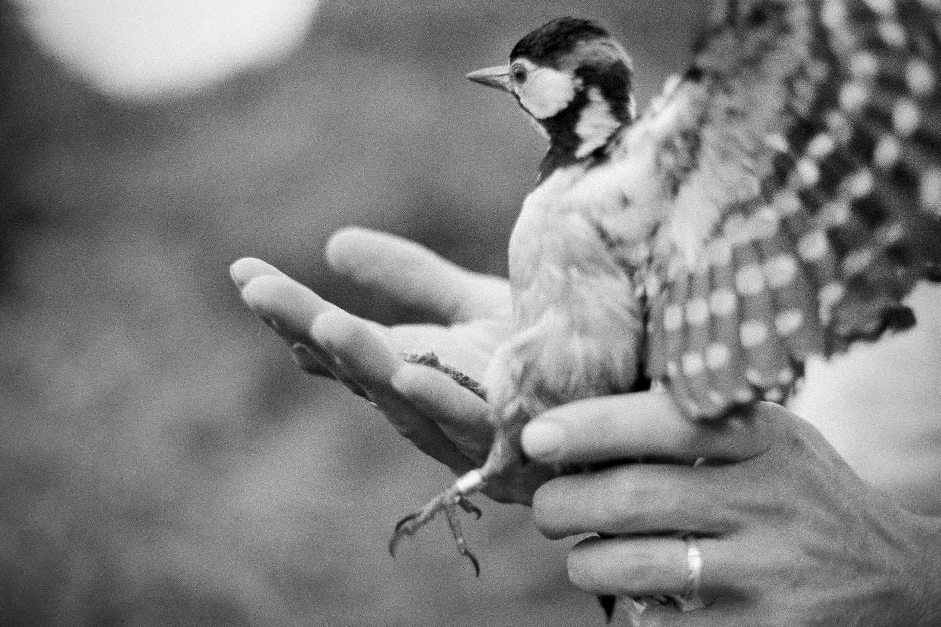 Natural touch (14).jpg