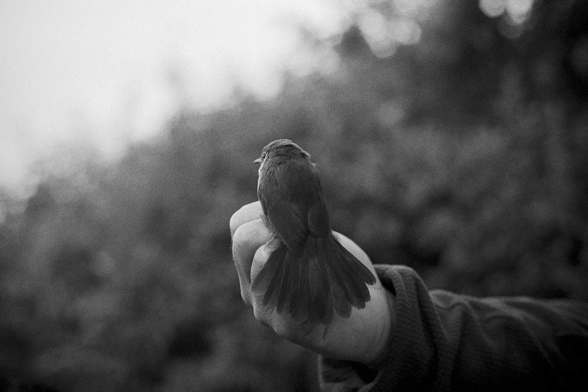 Natural touch (17).jpg