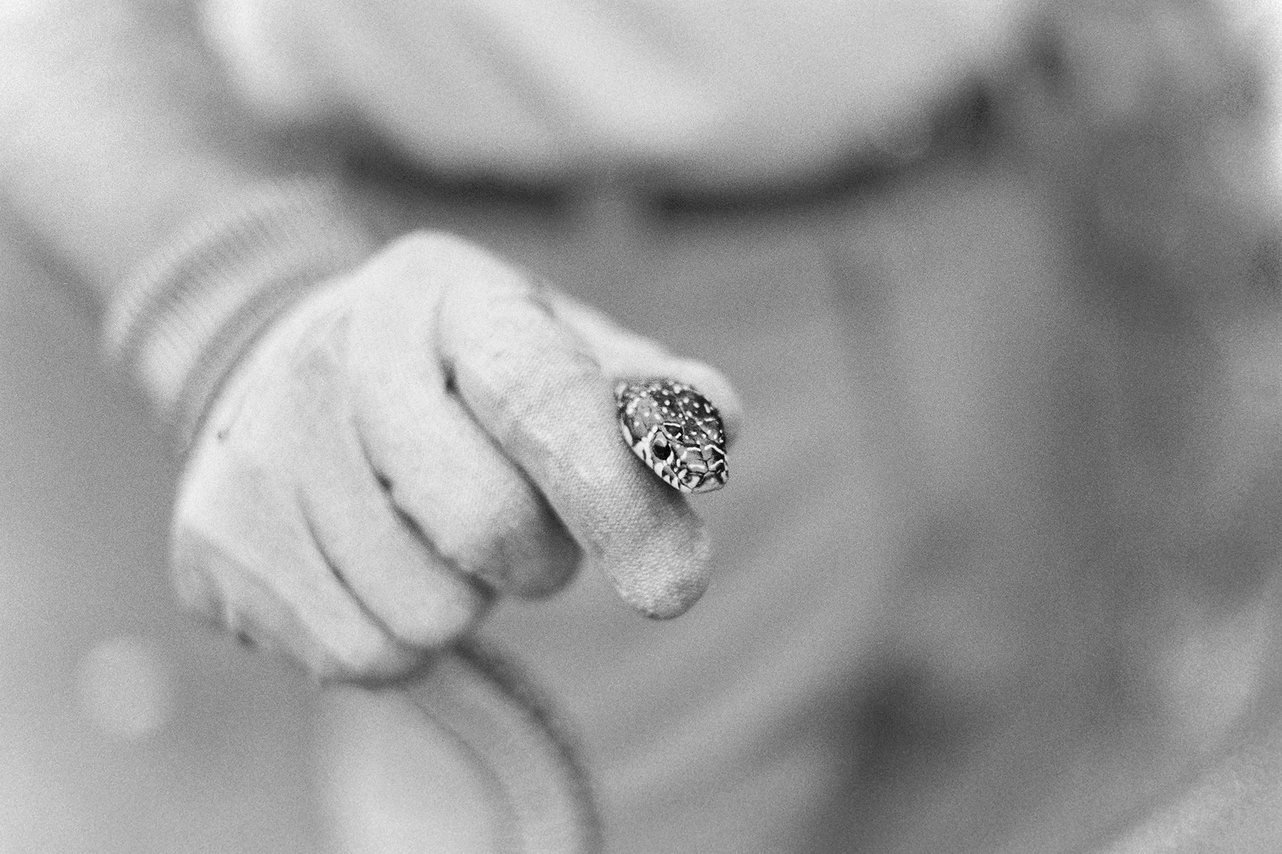 Natural touch (18).jpg