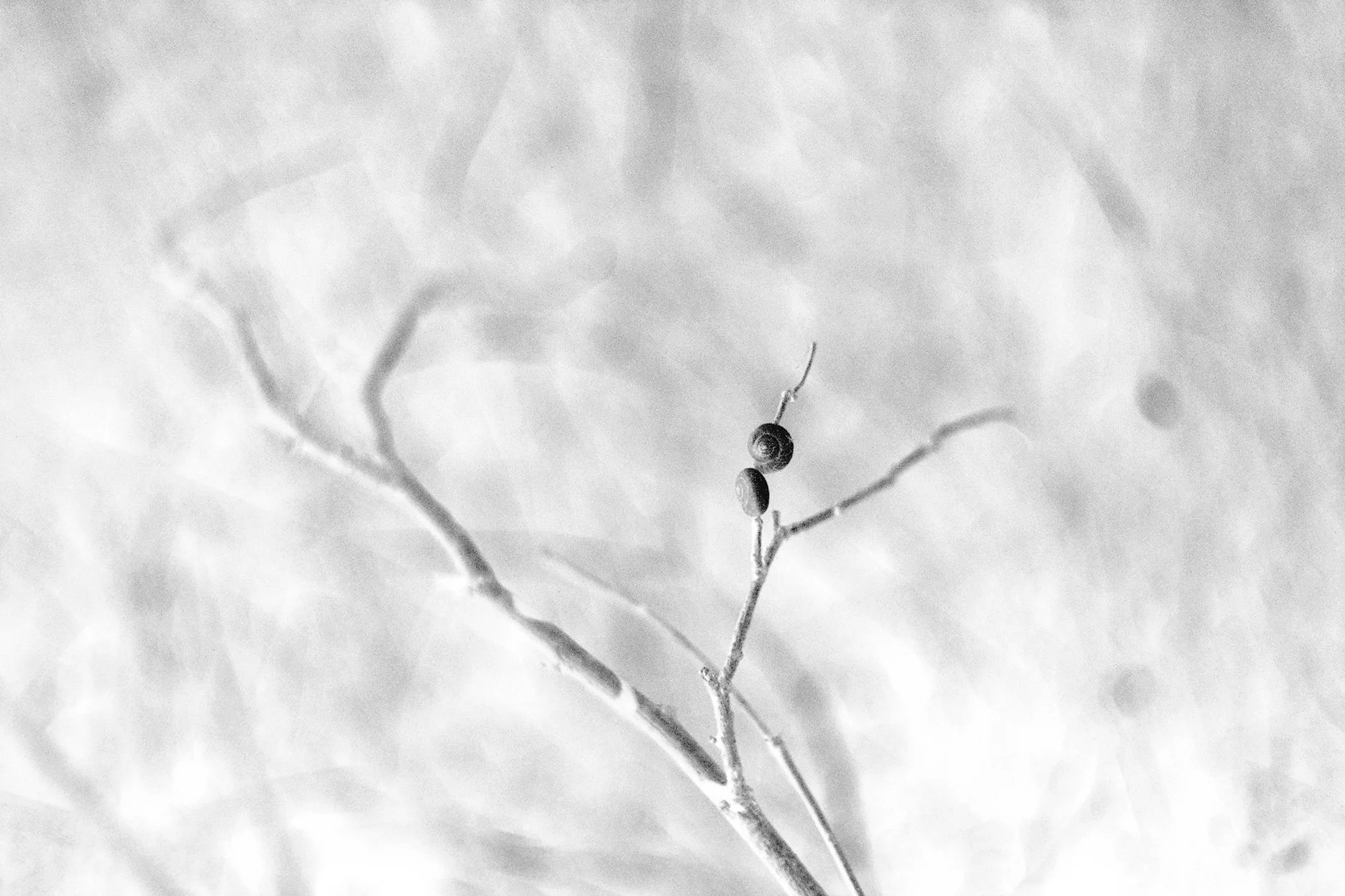 Natural touch (20).jpg