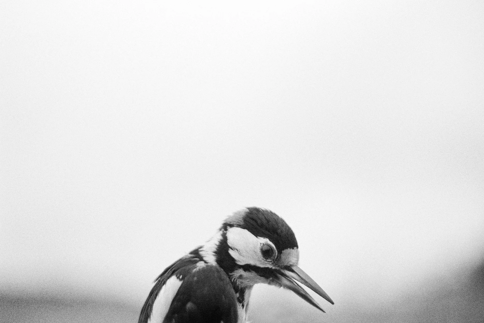 Natural touch (22).jpg