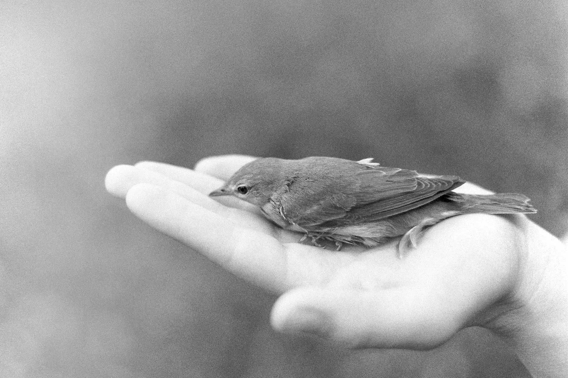 Natural touch (25).jpg