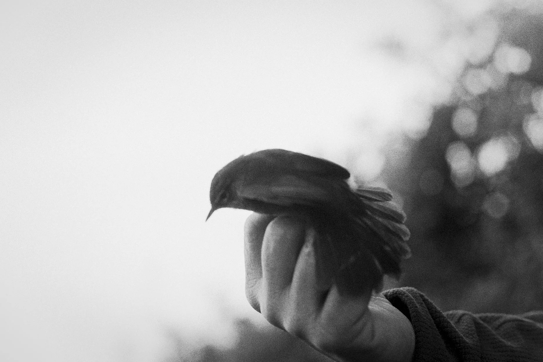 Natural touch (27).jpg