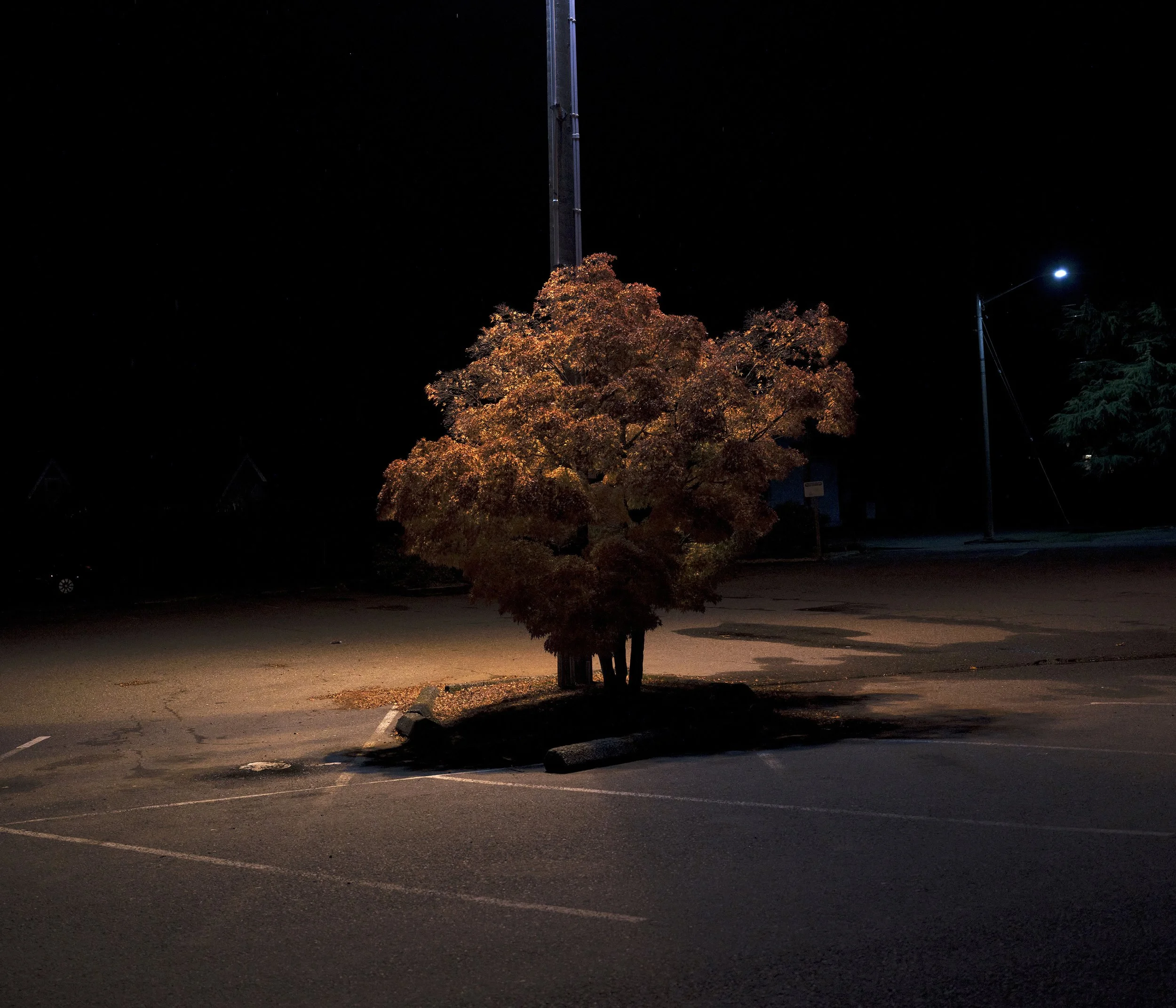 port angeles 2025 - Copie.jpg (Copy)