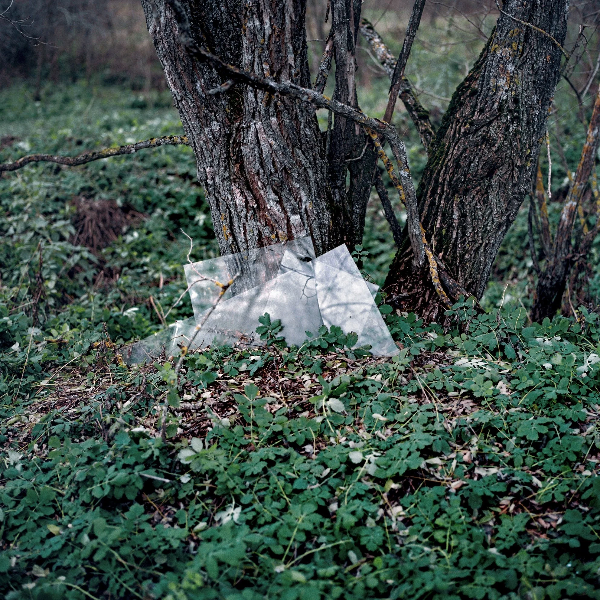  Village of Alexandraouka in the Belarusian Chernobyl Exclusion Zone. (1986) 