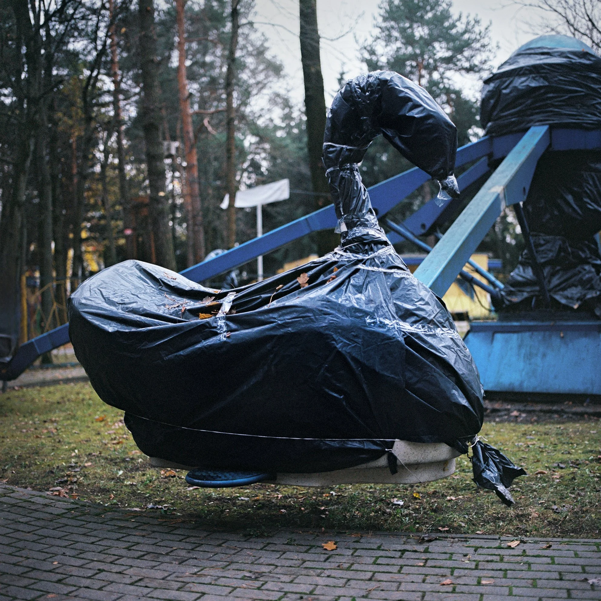  Black swan, carousel at Chelyuskinsov Park in Minsk. 