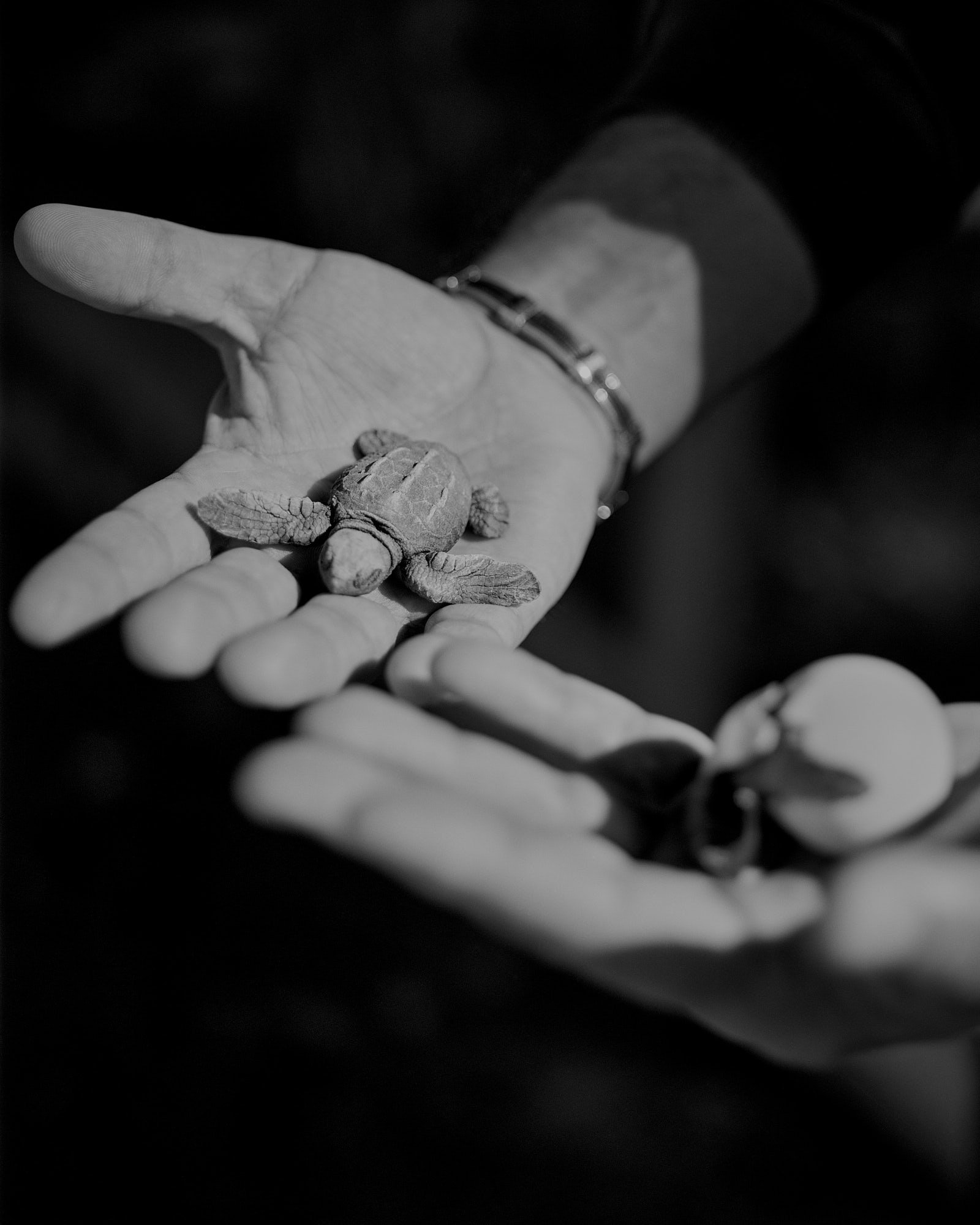 Mirazh ©Mathias Zwick/ Inland