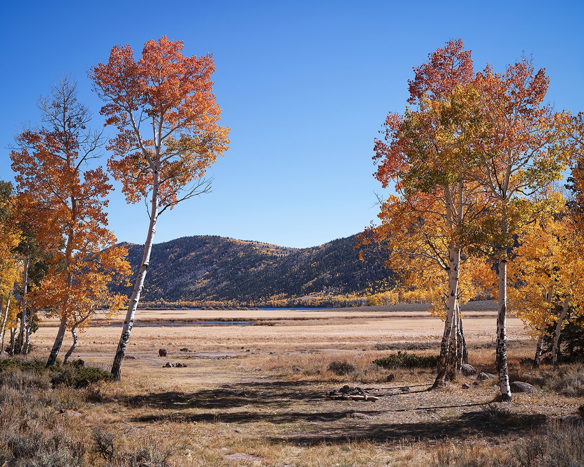 pando (9).jpg