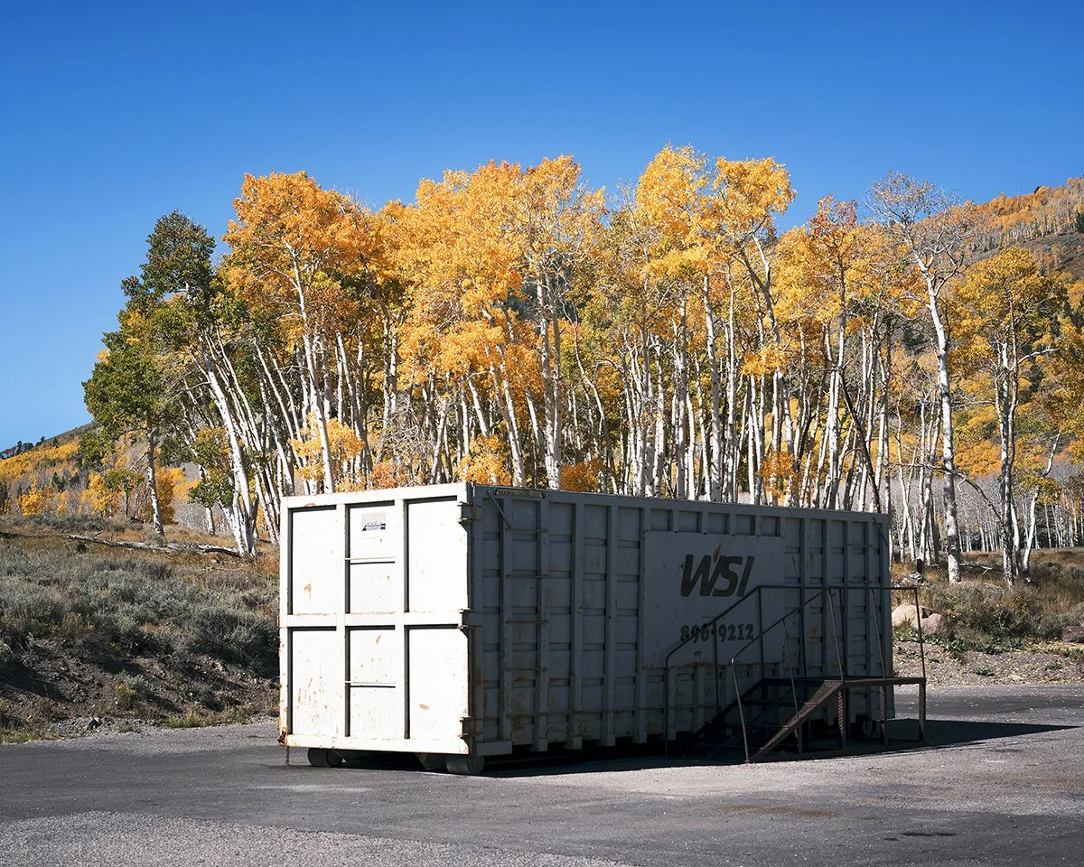 pando (11).jpg