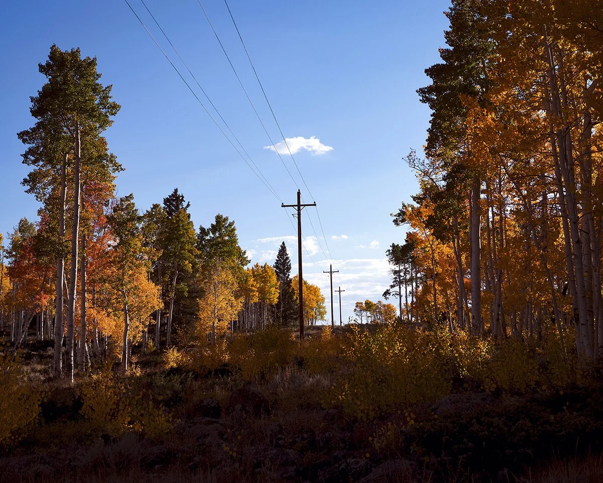 pando (19).jpg
