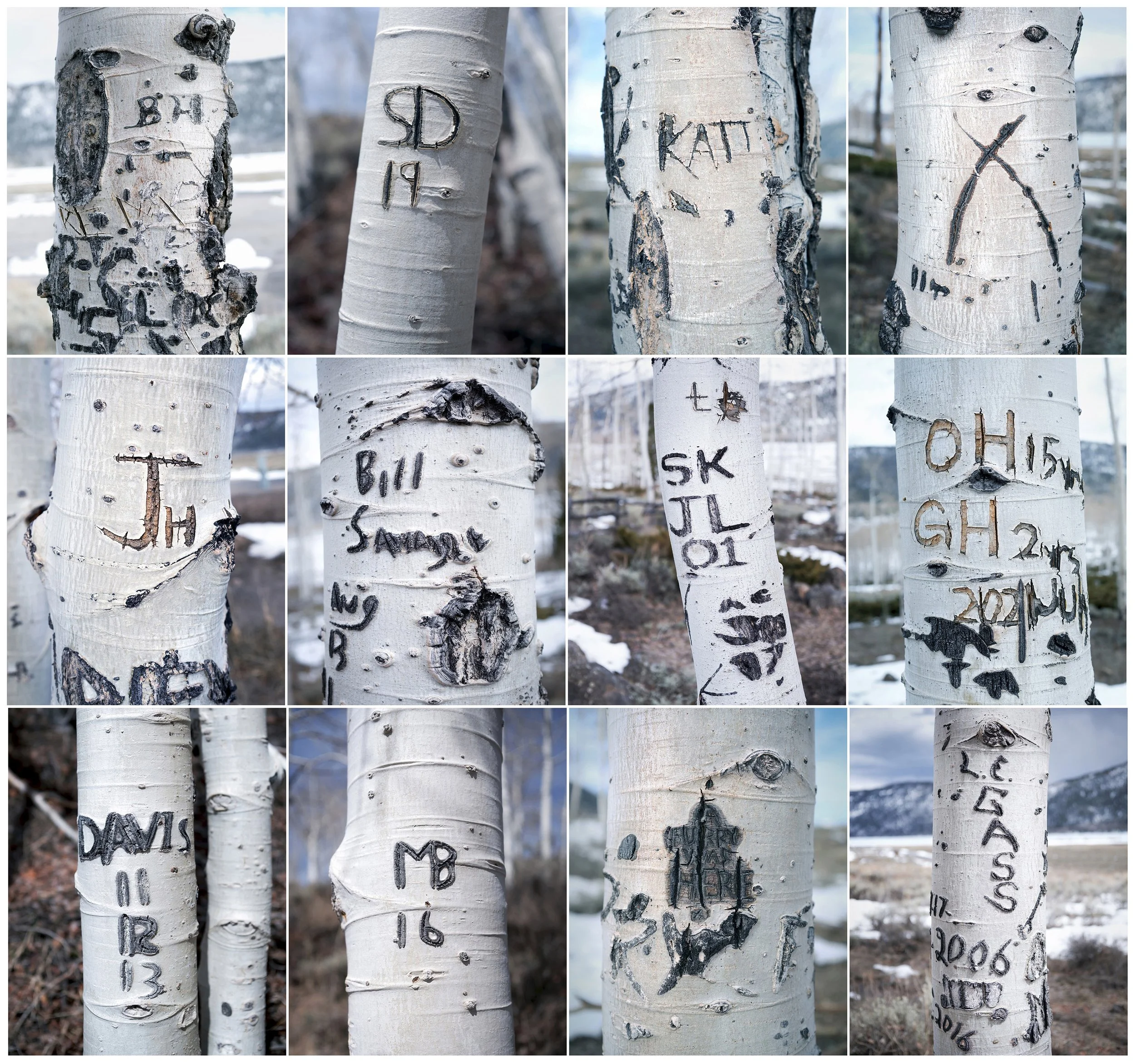 pando (25).jpg