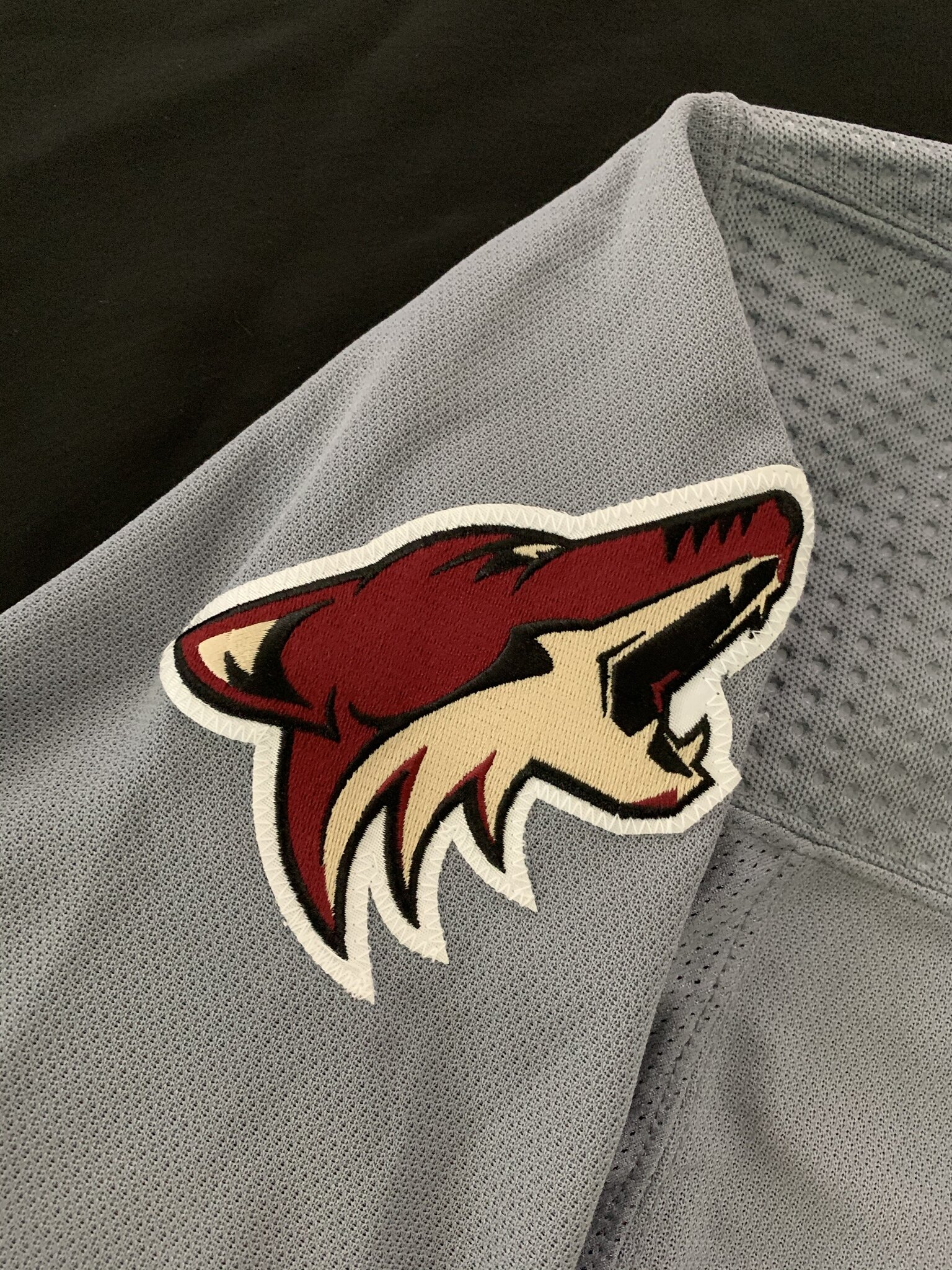 D-backs Night at the Coyotes
