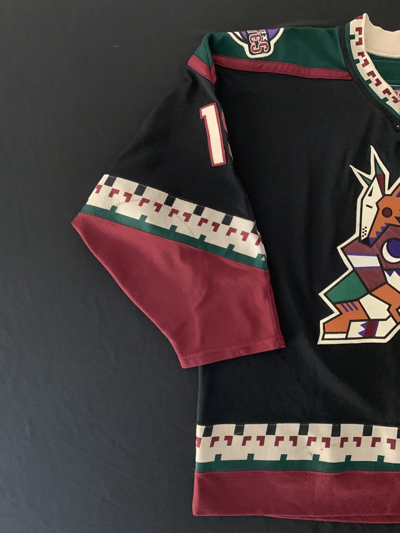 90's Shane Doan Phoenix Coyotes Starter NHL Jersey Size Large – Rare VNTG
