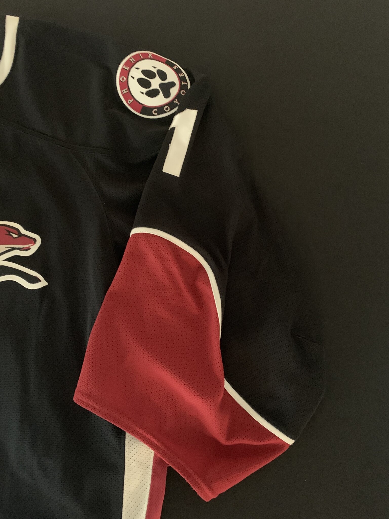 Mike Smith Coyotes — Game Worn Goalie Jerseys