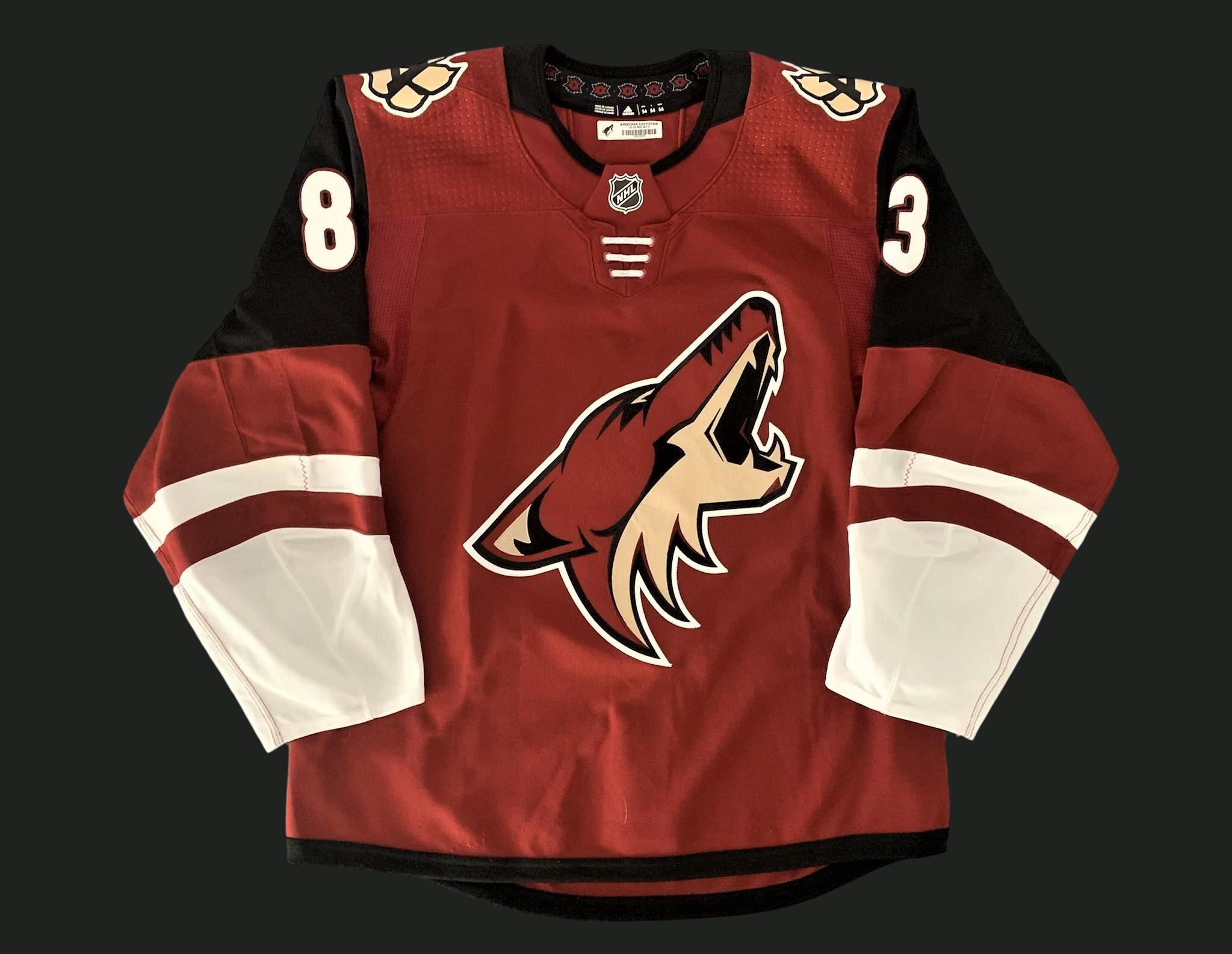 Conor Garland 2019-2020 Arizona Coyotes Red Set 2 Game Worn Jersey