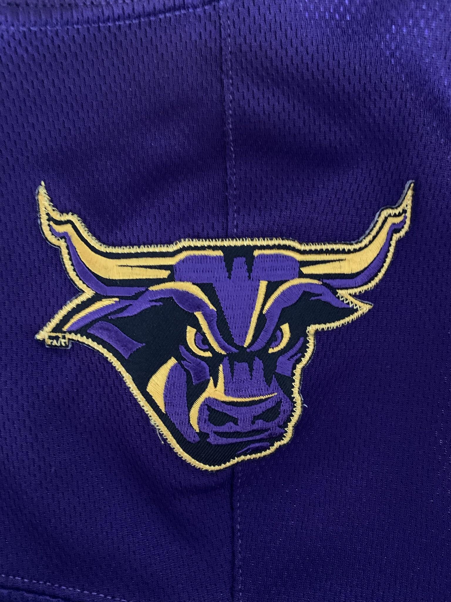 Game Worn Shreveport-Bossier Mudbugs WPHL Minor League Hockey Jersey Purple  58