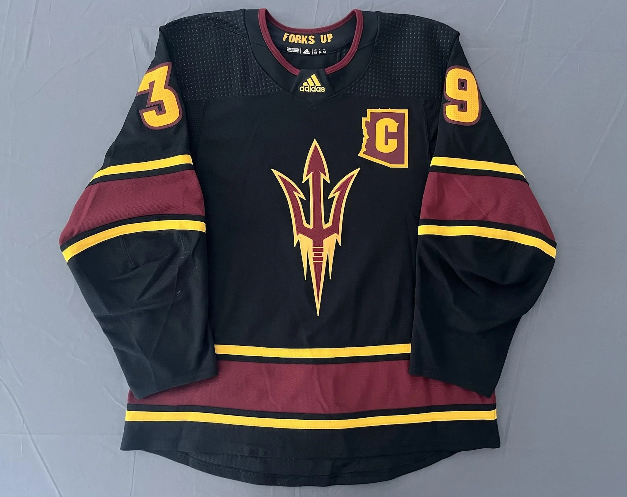 Brinson Pasichnuk 2019-2020 Arizona 