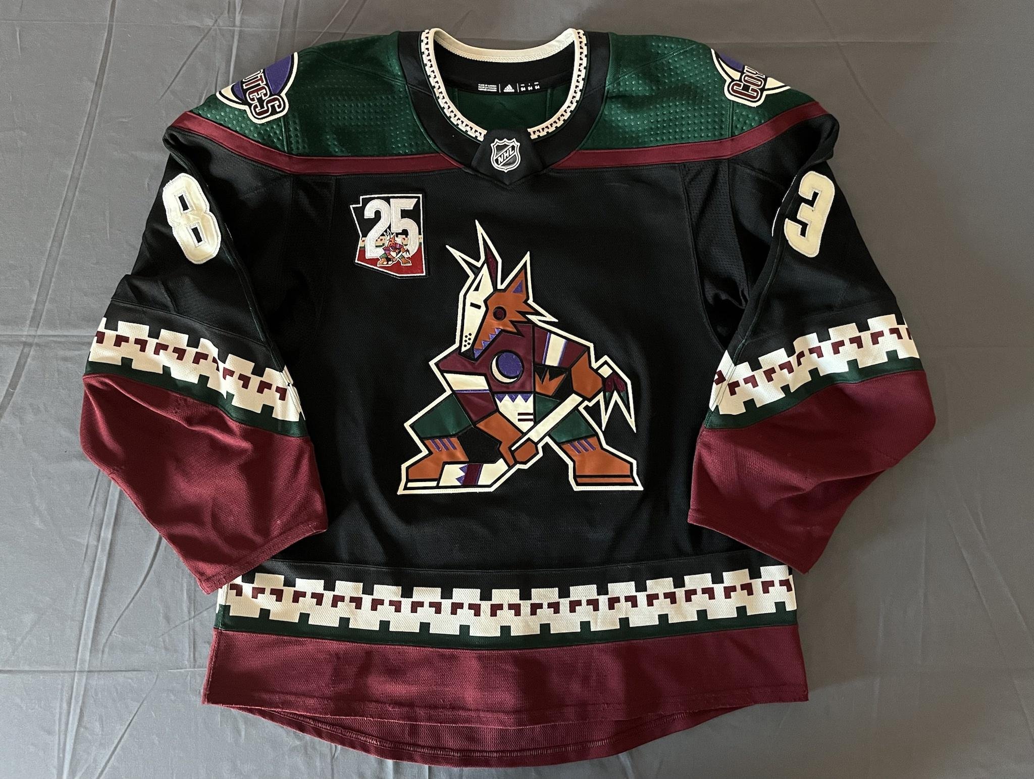 Tucson Roadrunners reveal Coyotes-inspired third jerseys as their official  third jersey