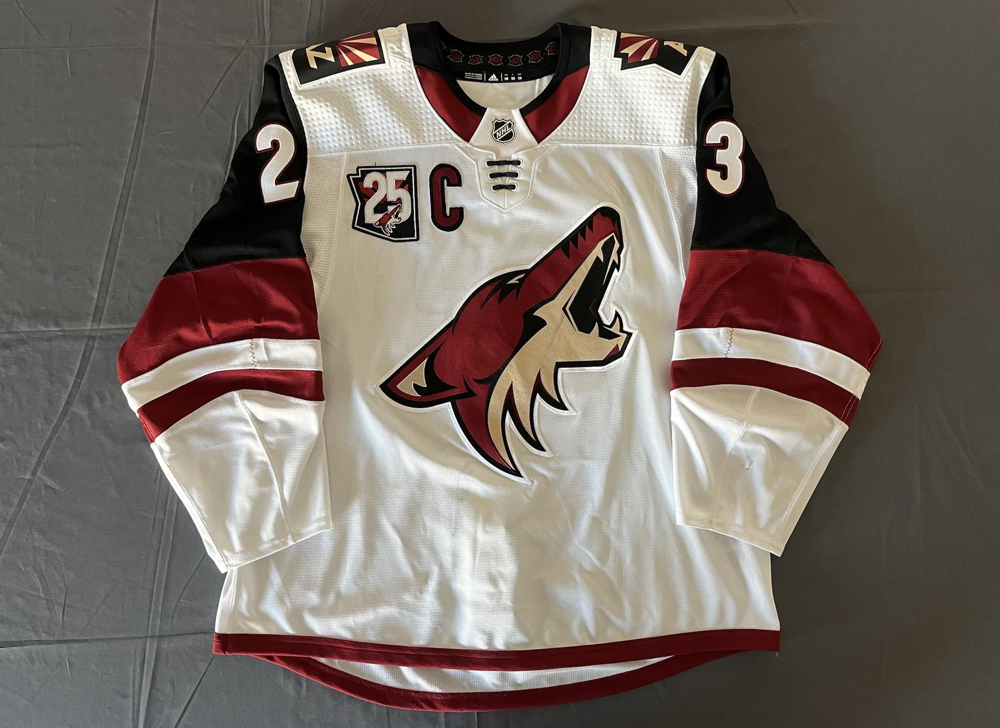 23 Oliver Ekman-Larsson Game Used Stick - Autographed - Arizona Coyotes -  NHL Auctions