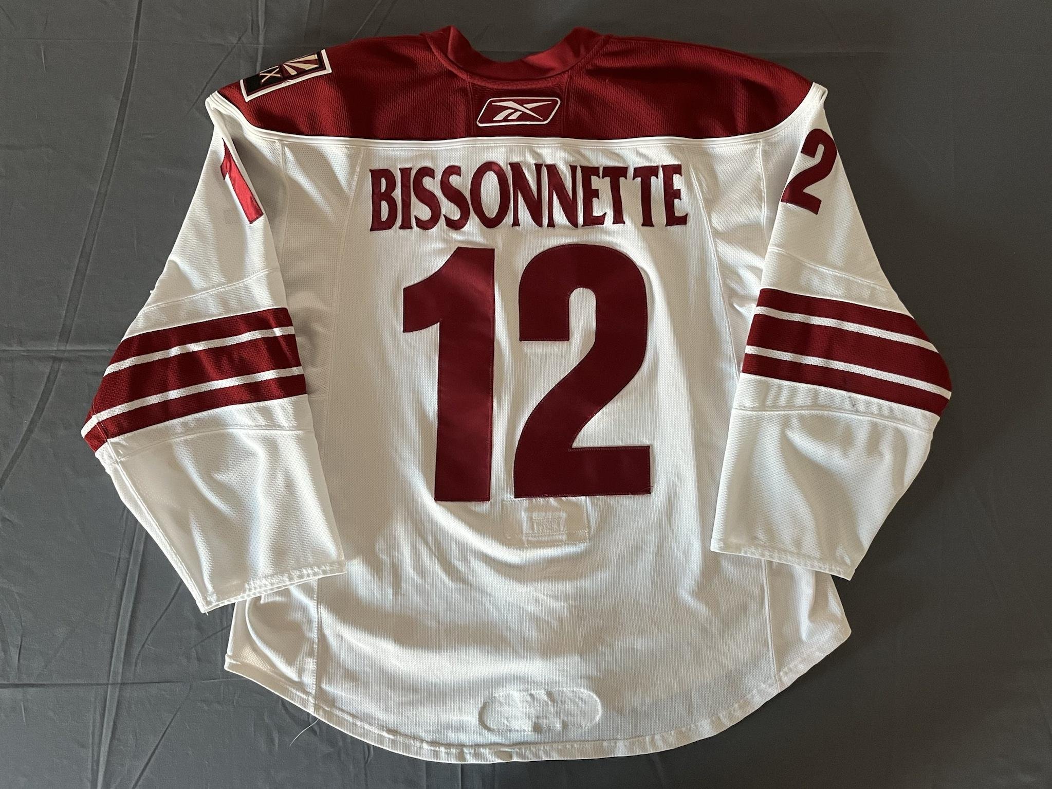 Mail Day] - Paul Bissonnette Phoenix Coyotes alternate game worn jersey (6  fights) : r/hockeyjerseys