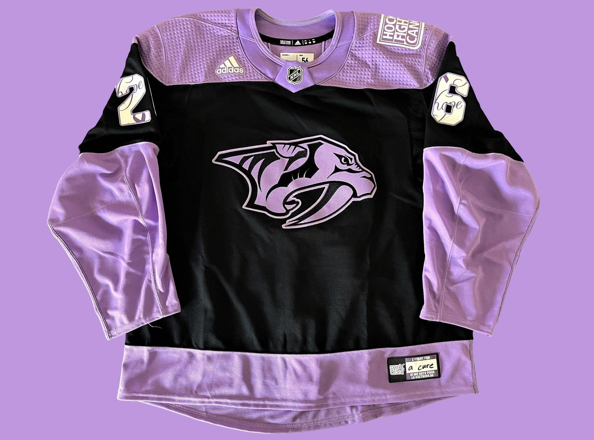 Thompson Fueled by Different Type of Army for Hockey Fights Cancer Night