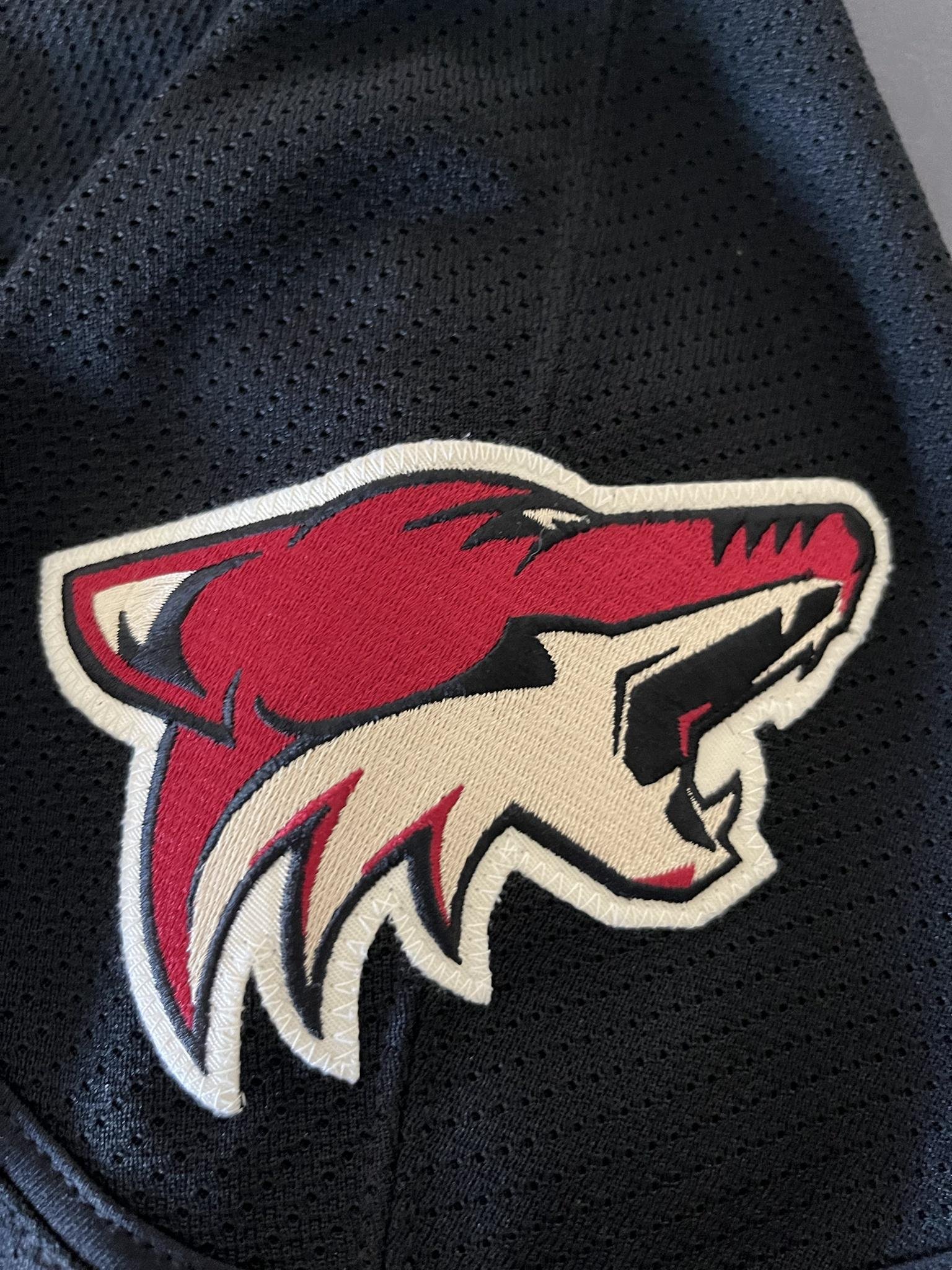 Paul Bissonnette 2009-2010 Phoenix Coyotes Alternate Set Game Worn