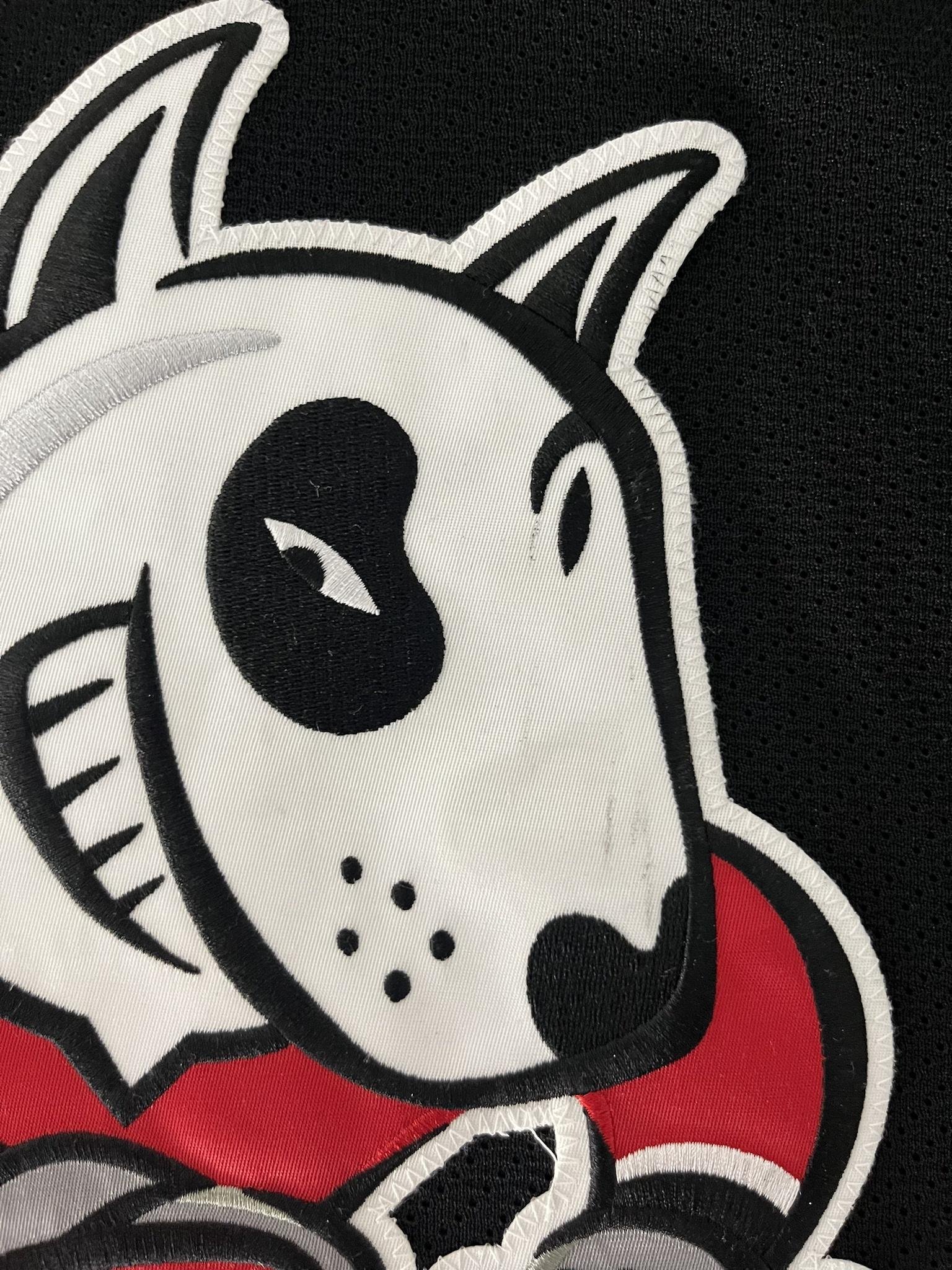 Philip Tomasino 2018-2019 Niagara IceDogs Black Set Game Worn Jersey —  Desert Hockey Threads