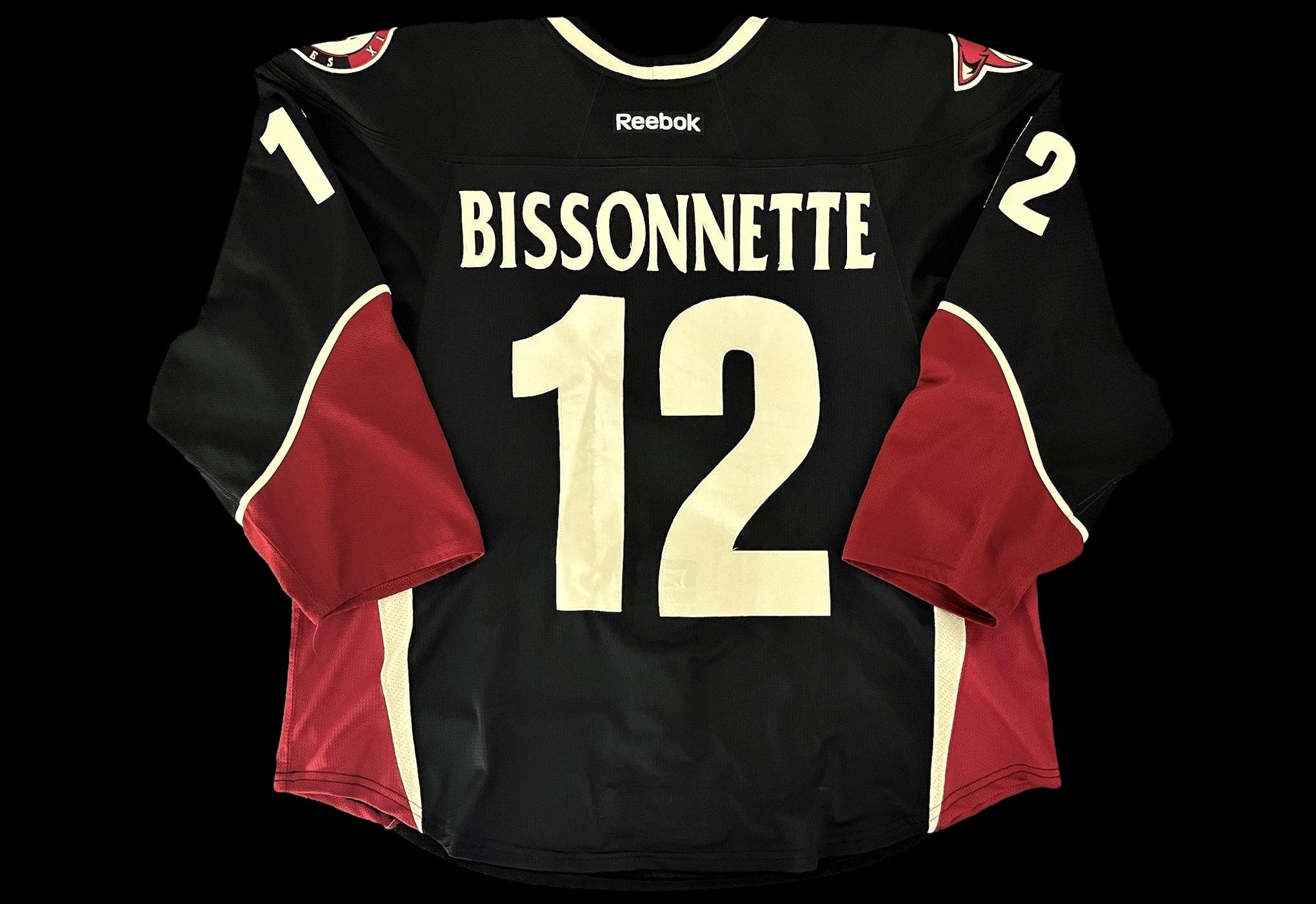 Paul Bissonnette  &  Phoenix Coyotes Alternate