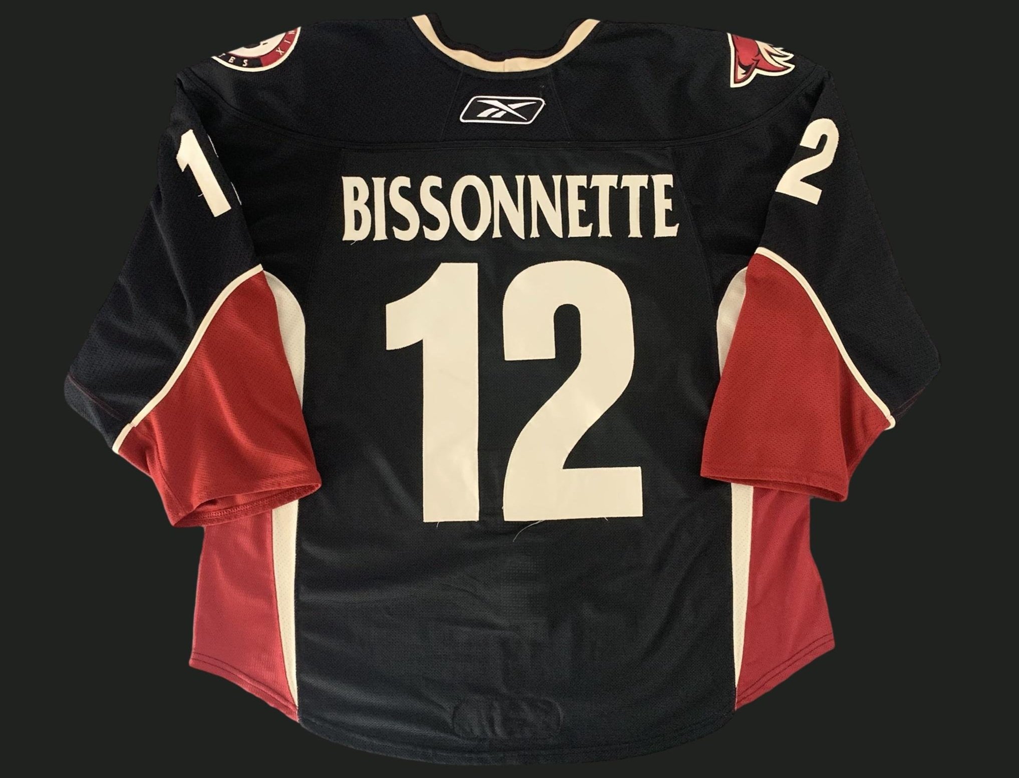 Paul Bissonnette 2009-2010 Phoenix Coyotes Alternate Set