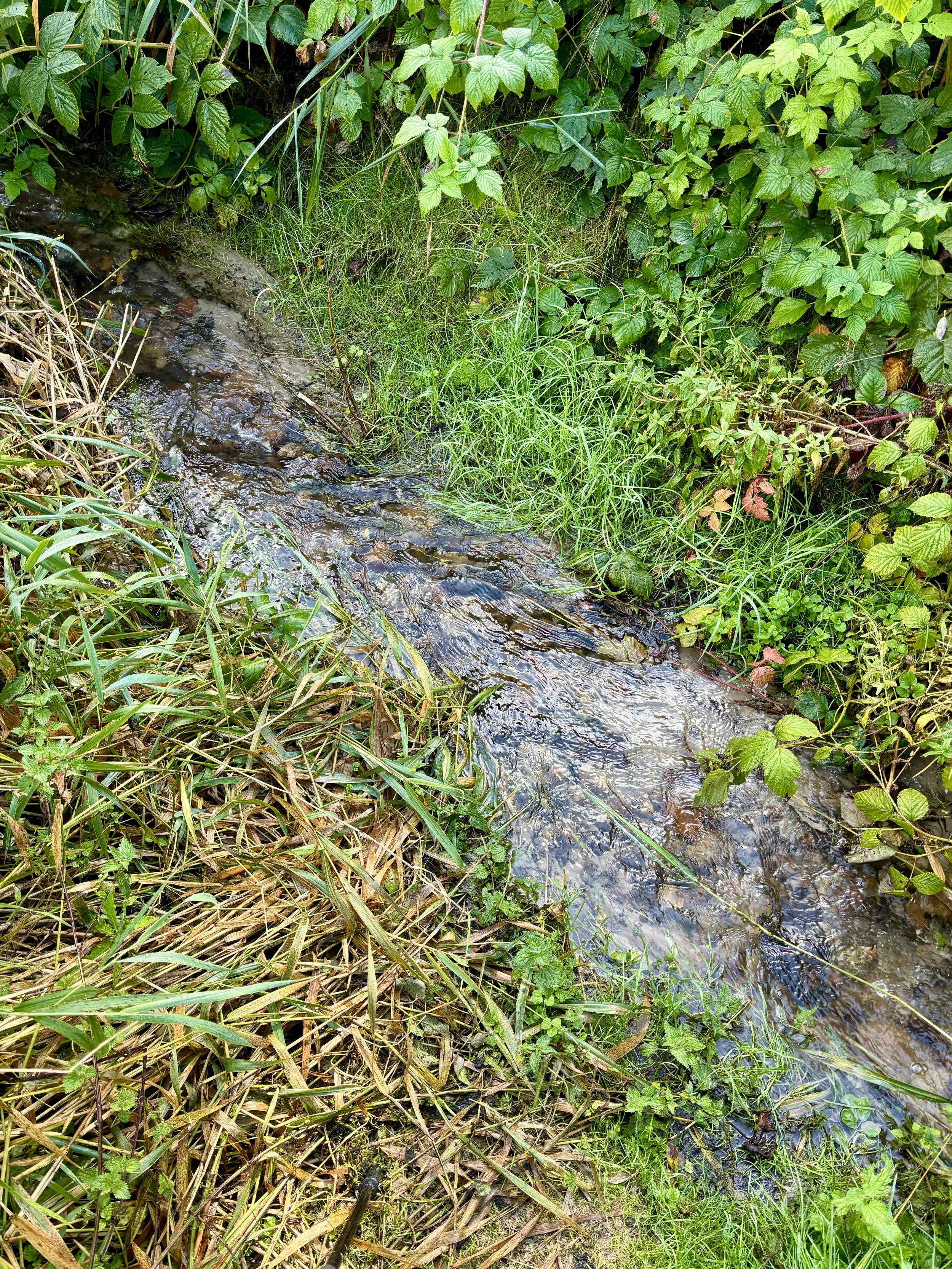 Invitation to play the Flow Game - Do you have an important question with no answer yet? 