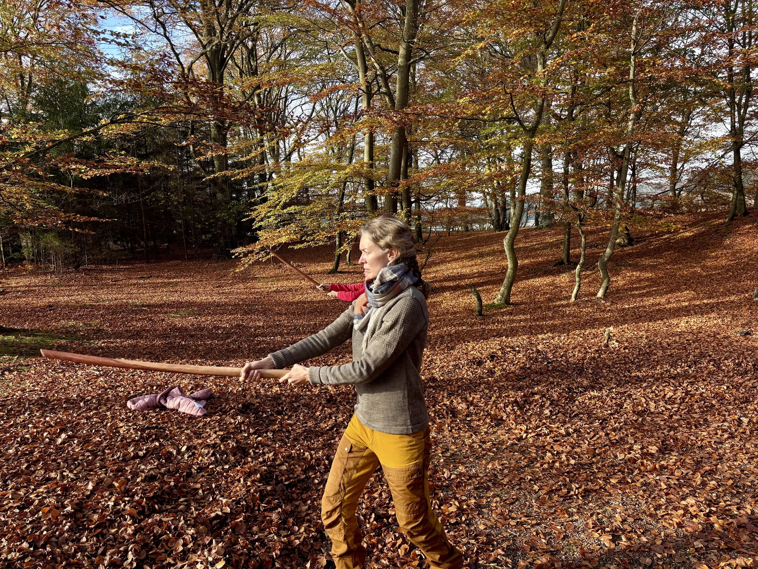 Practising for Peace - winter dojo at Himmelbjerggården
